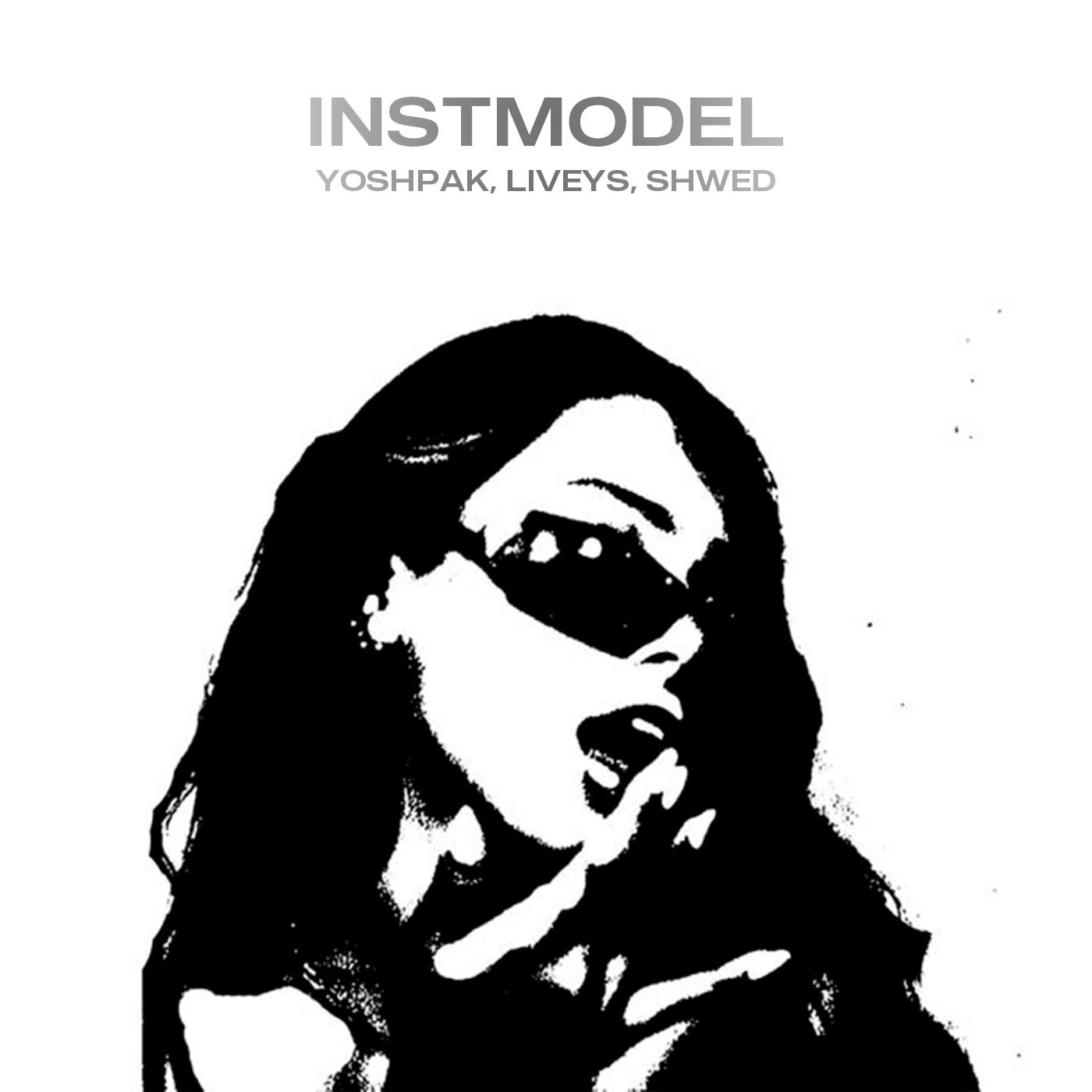 Постер альбома Instmodel