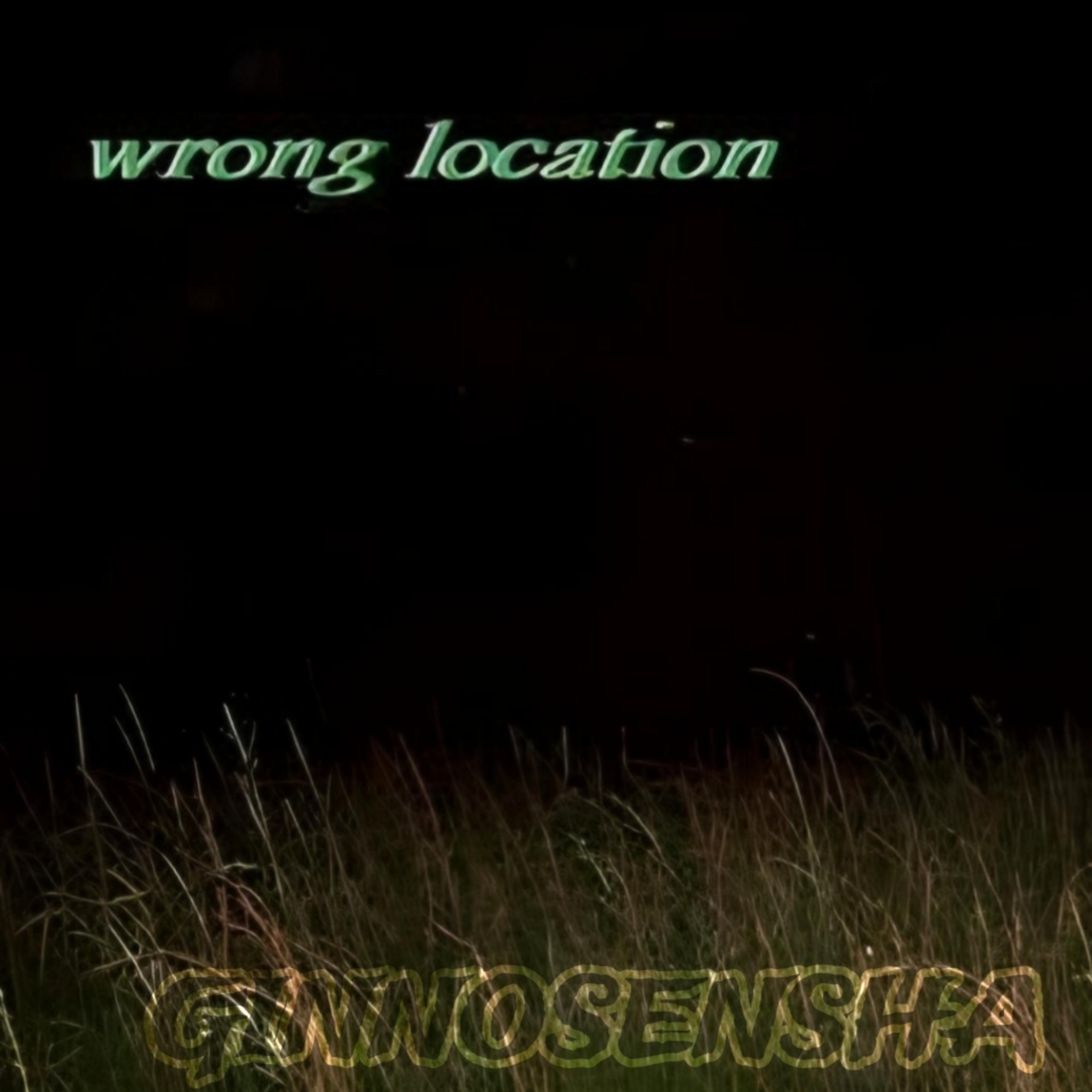 Постер альбома Wrong Location