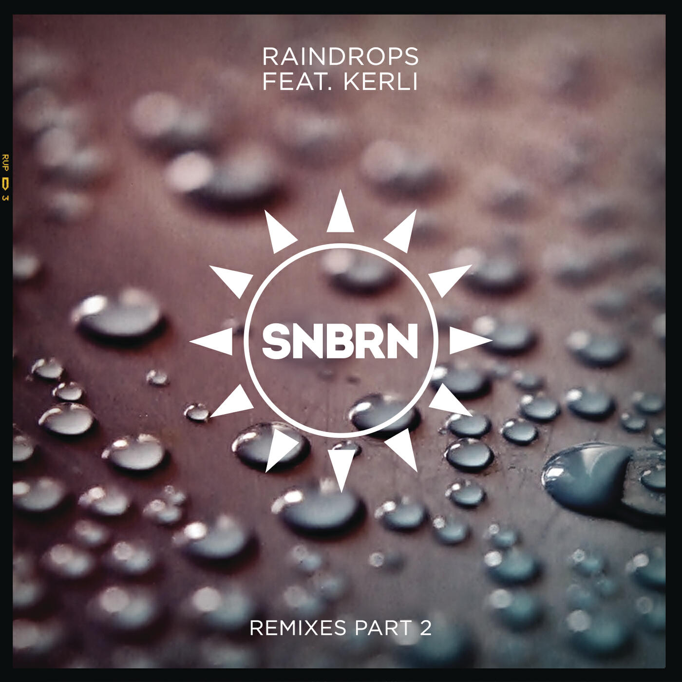 SNBRN - Raindrops (SCNDL Remix)