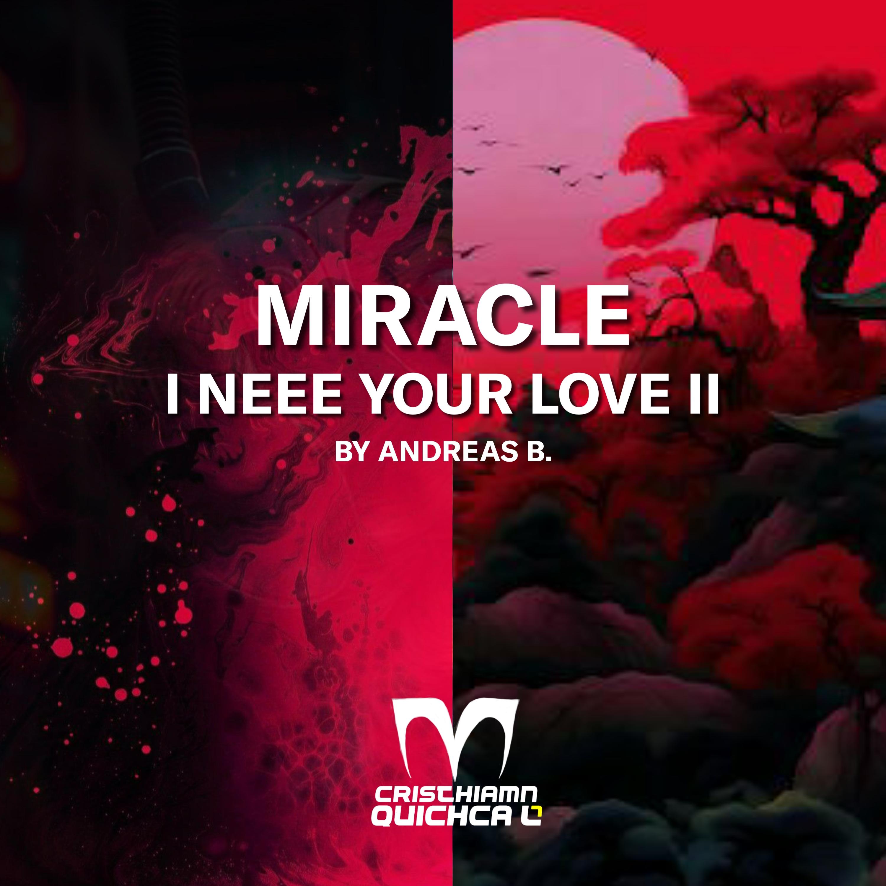 Постер альбома Miracle and I Need Your Love II (by Andreas Byrsting)