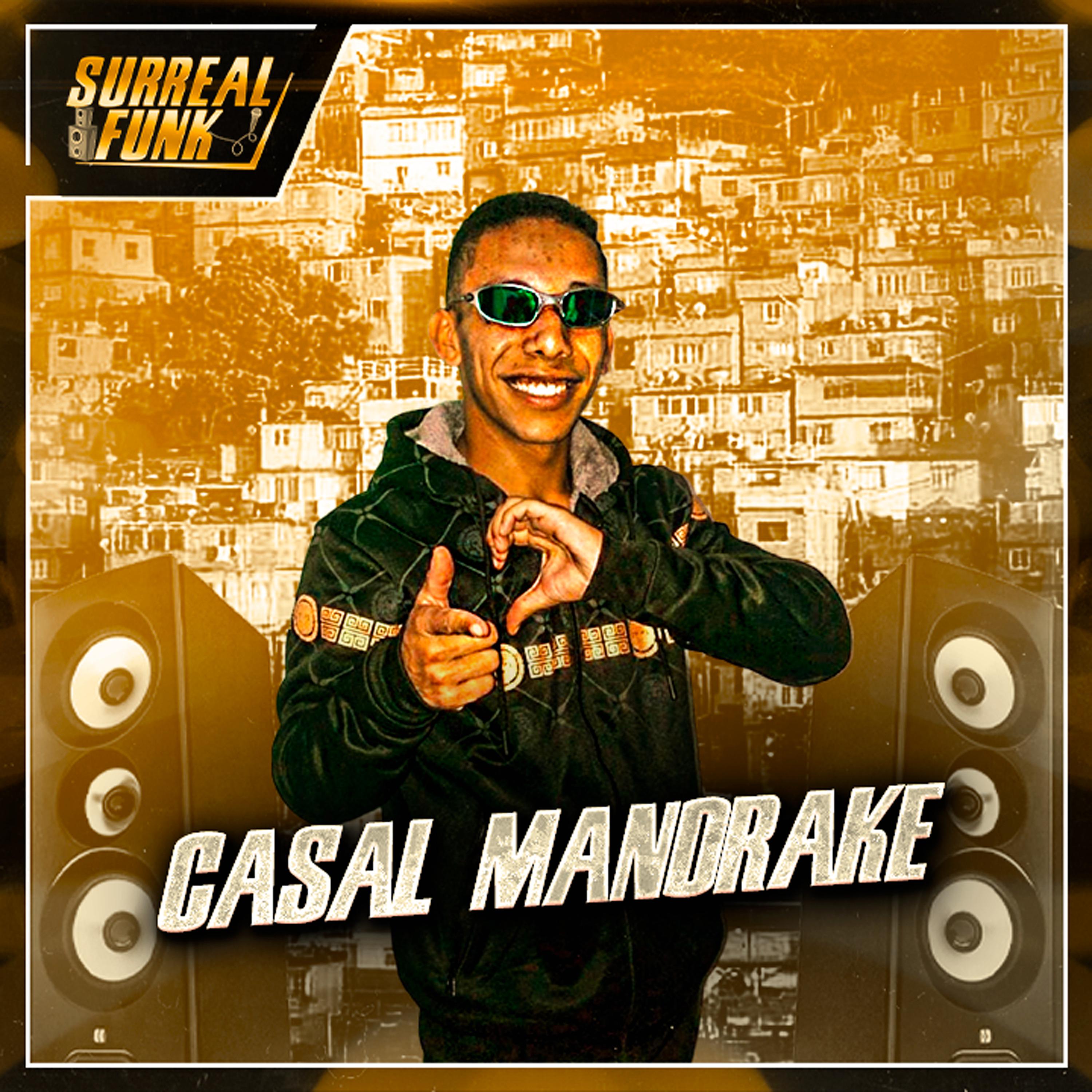 Постер альбома Casal Mandrake