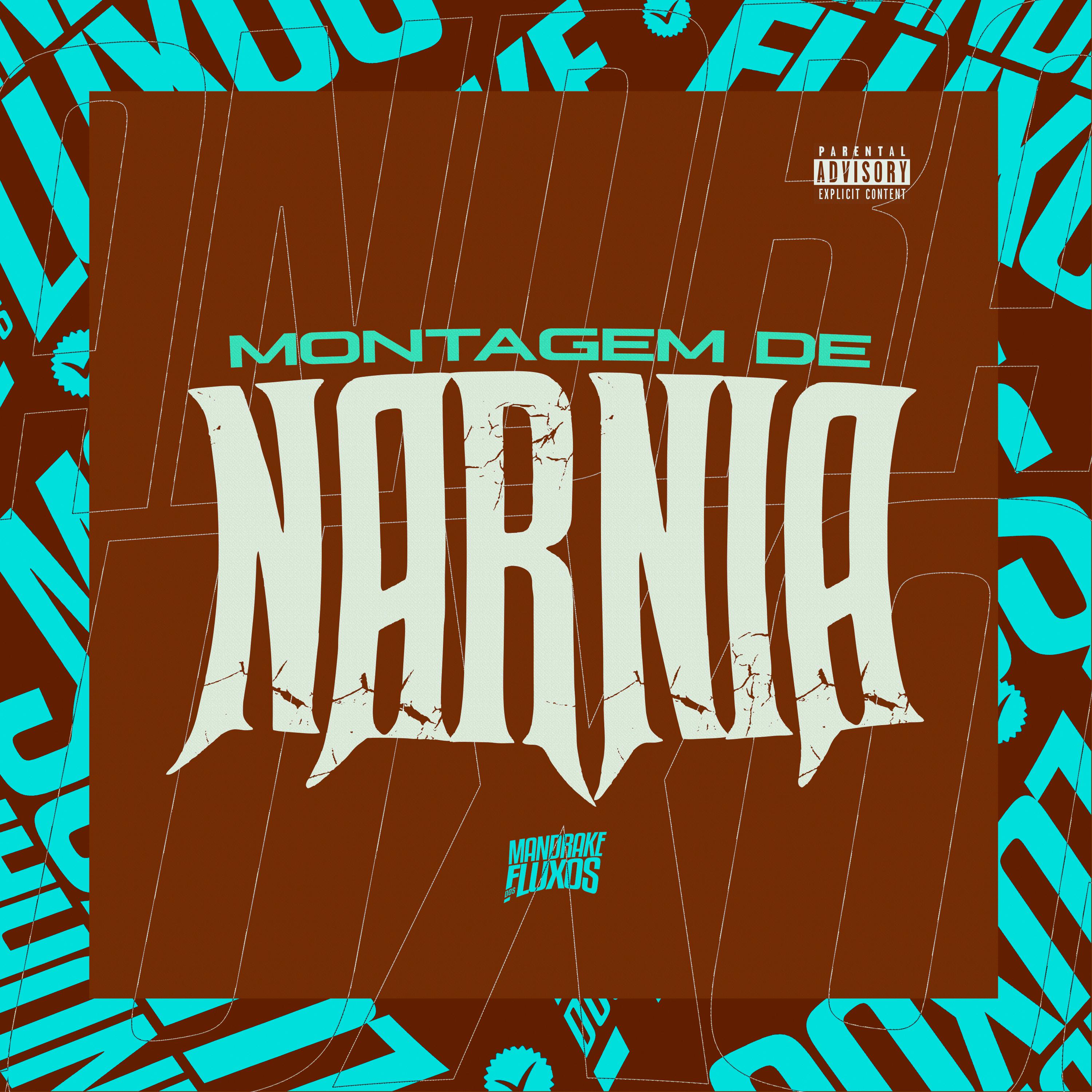 Постер альбома Montagem de Narnia