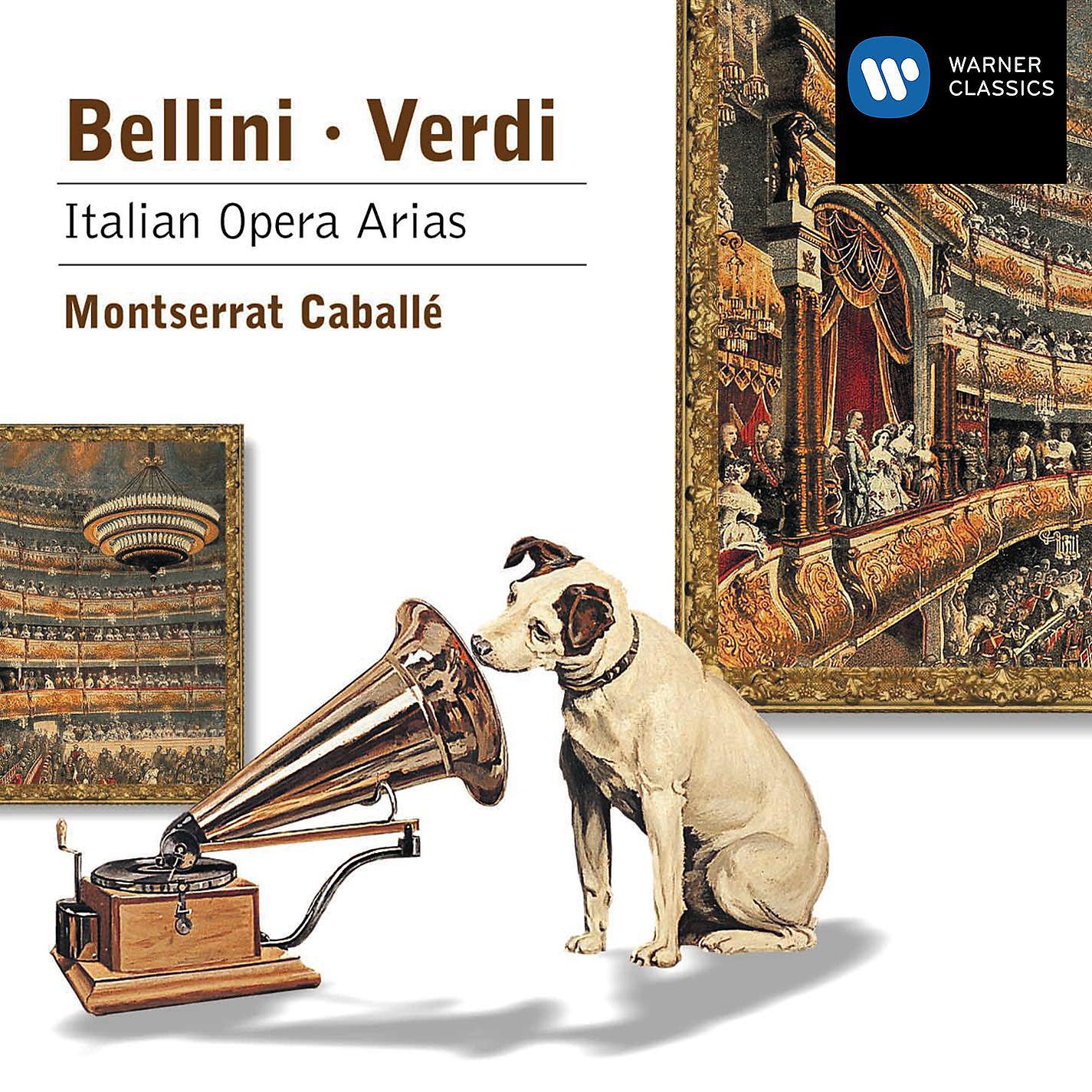 Постер альбома Bellini & Verdi: Italian Opera Arias