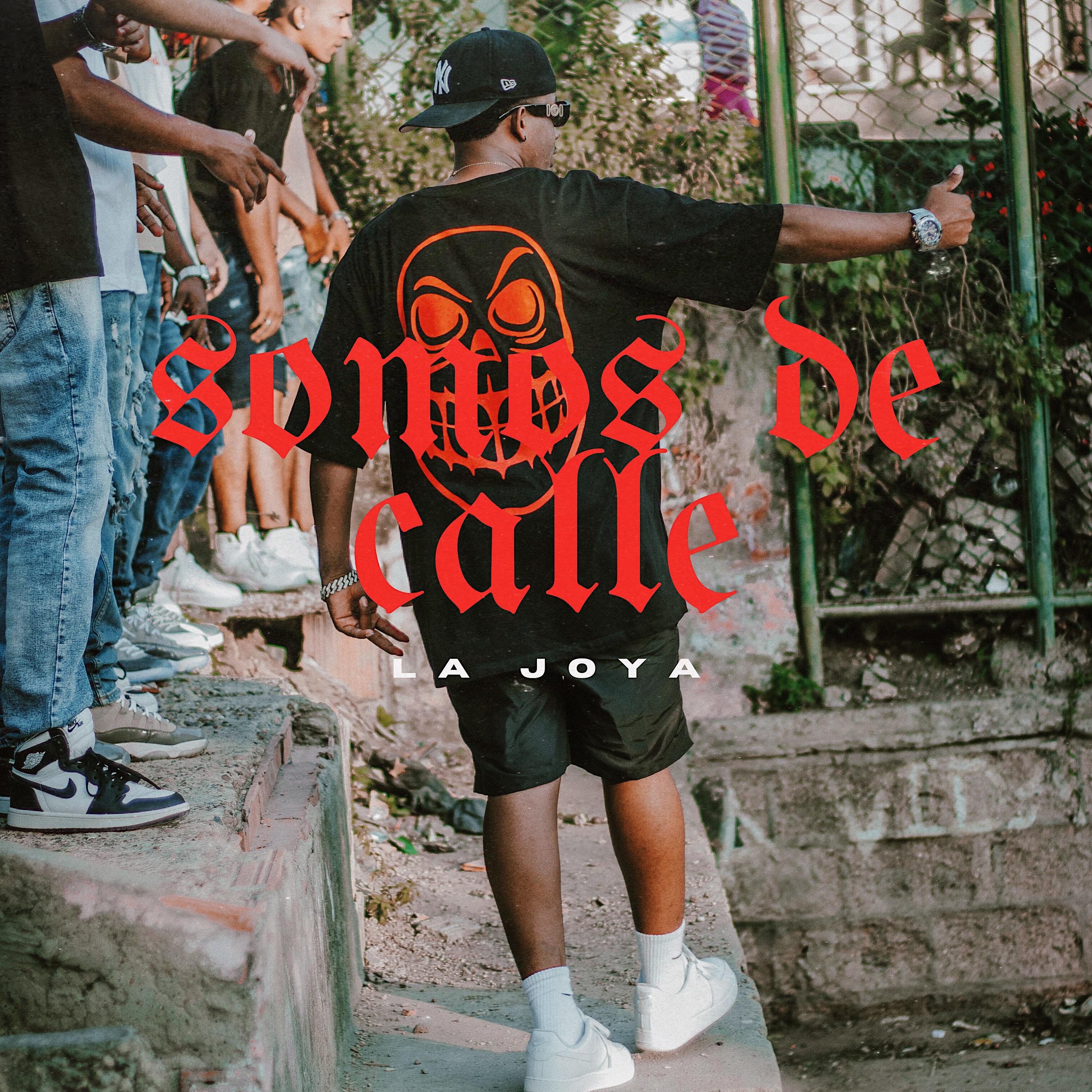 Постер альбома Somos de Calle