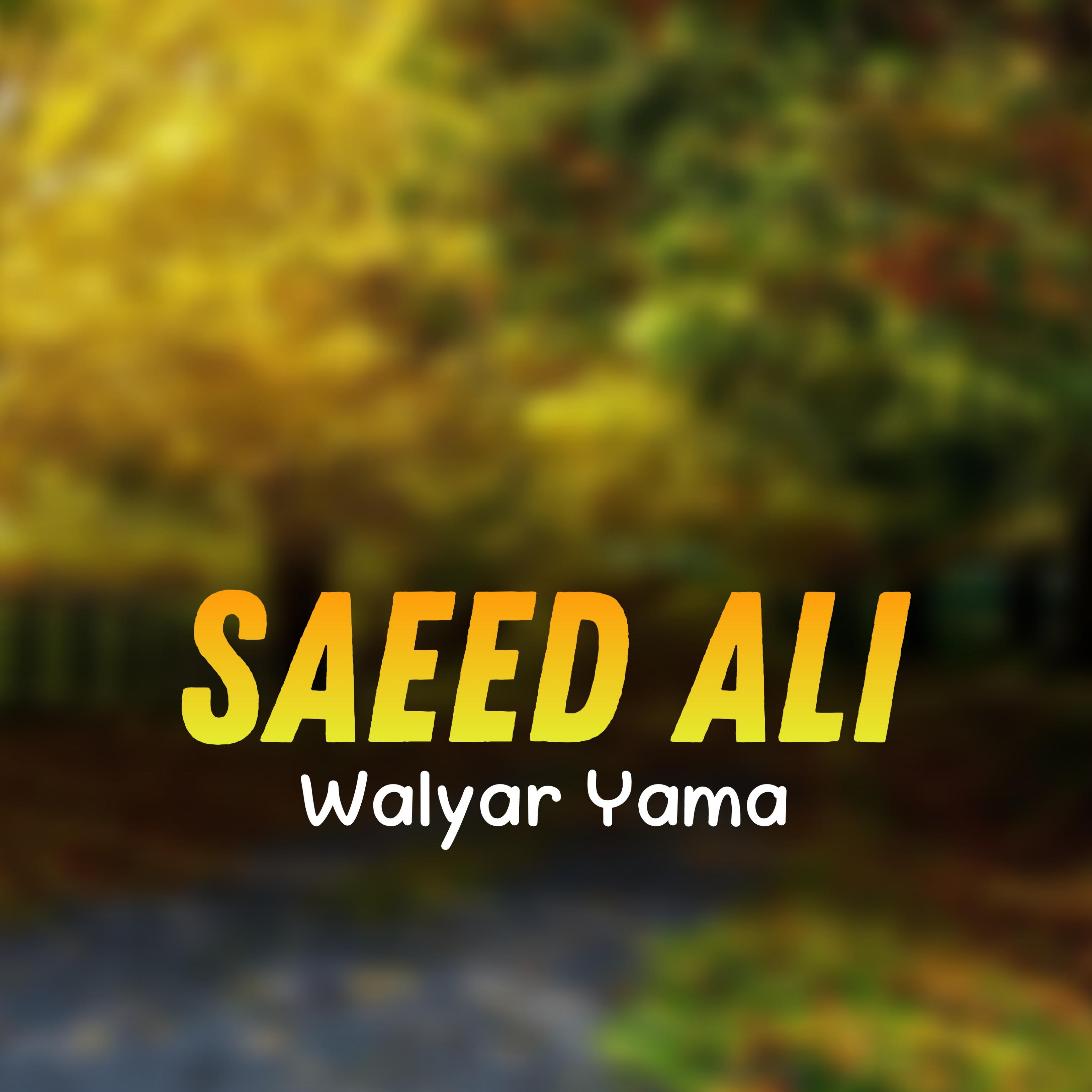 Постер альбома Walyar Yama