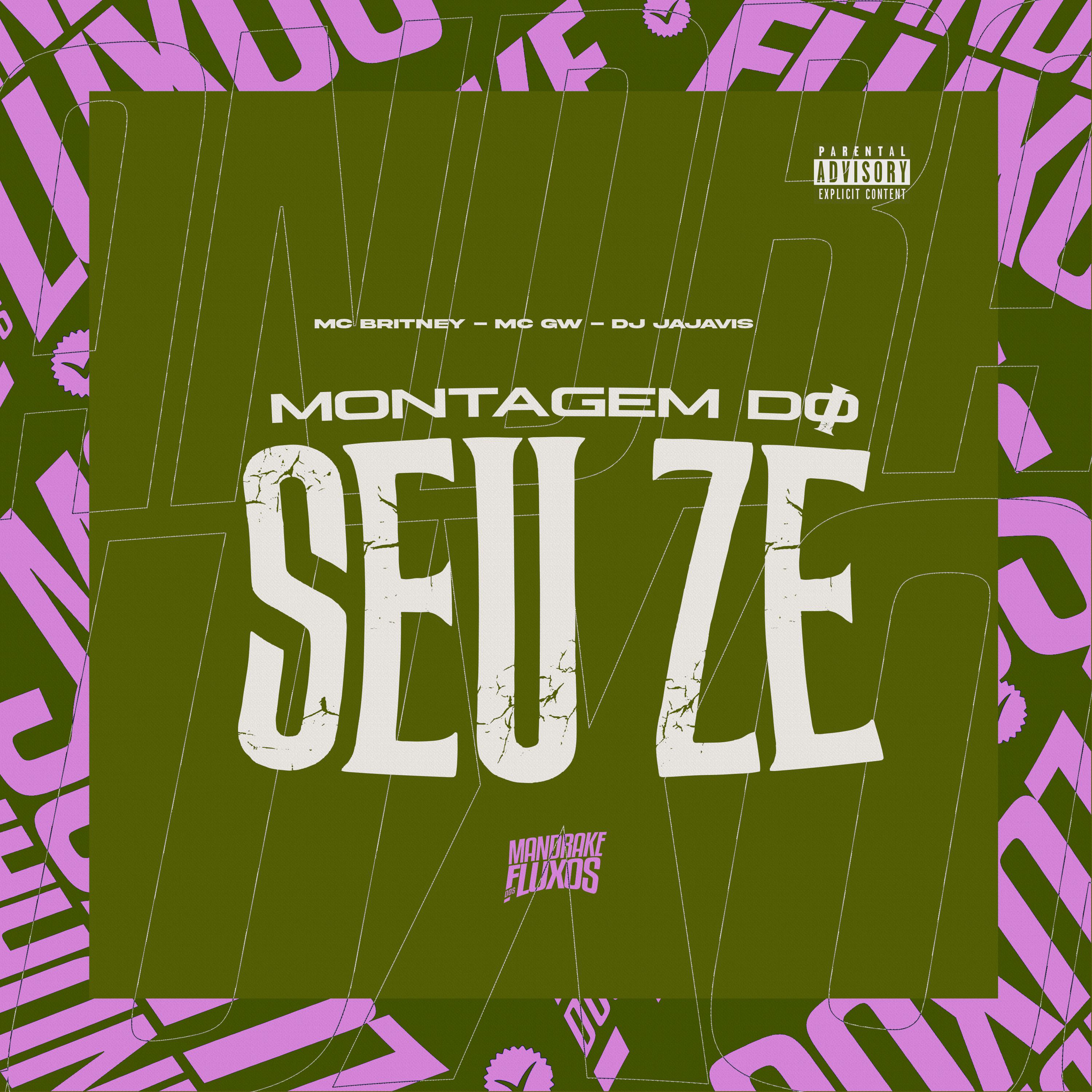 Постер альбома Montagem do seu Zé