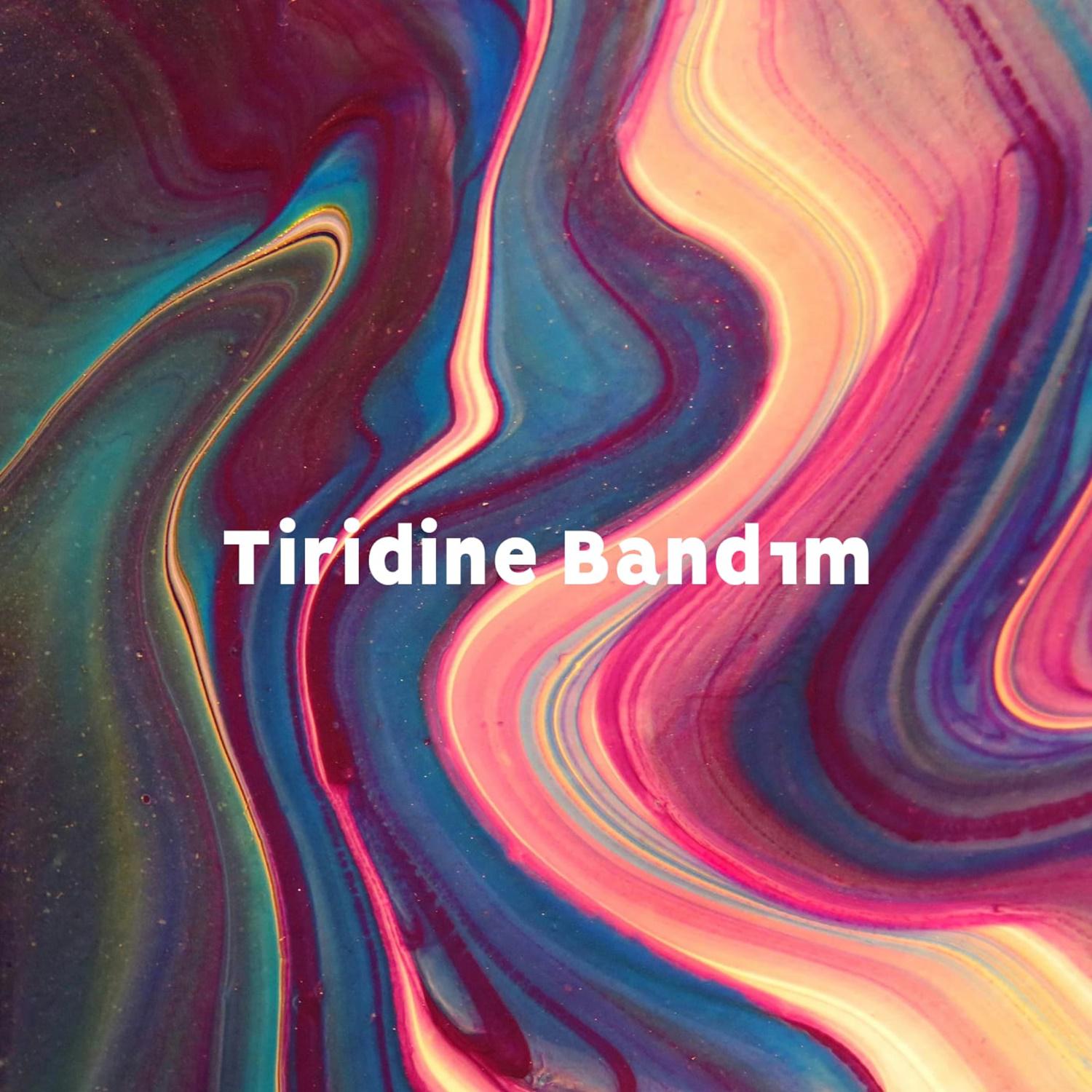 Постер альбома Tiridine Bandım