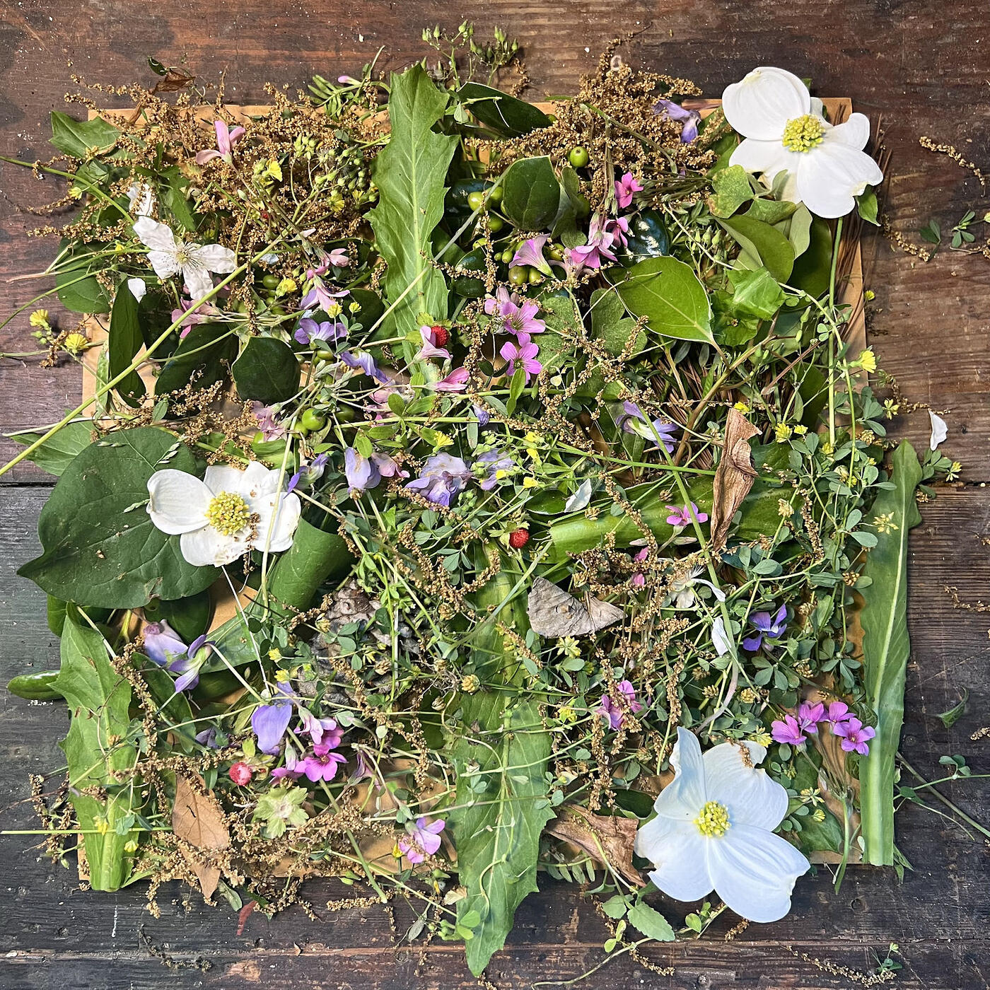 Punks & Snakes все песни в mp3