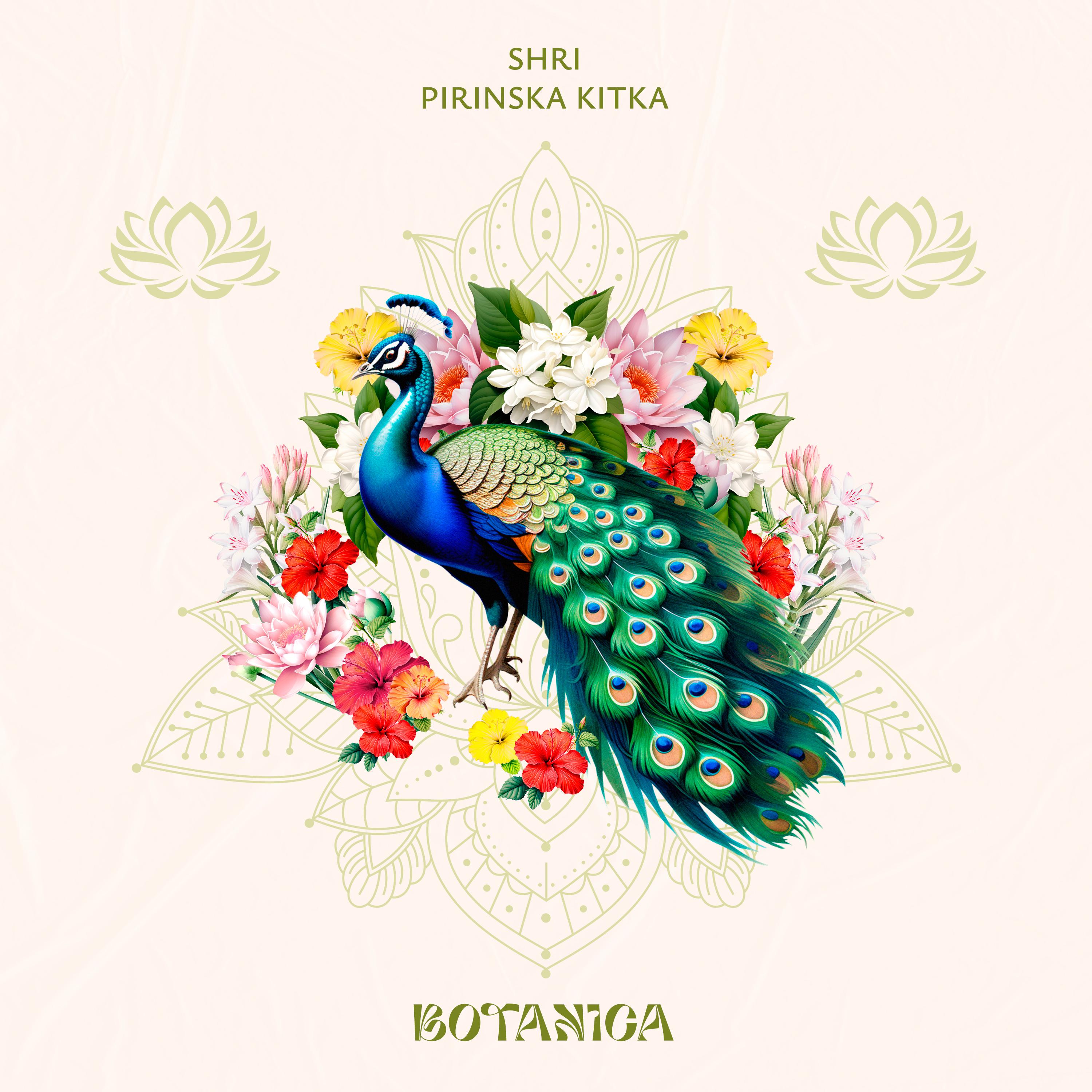 Постер альбома Pirinska Kitka