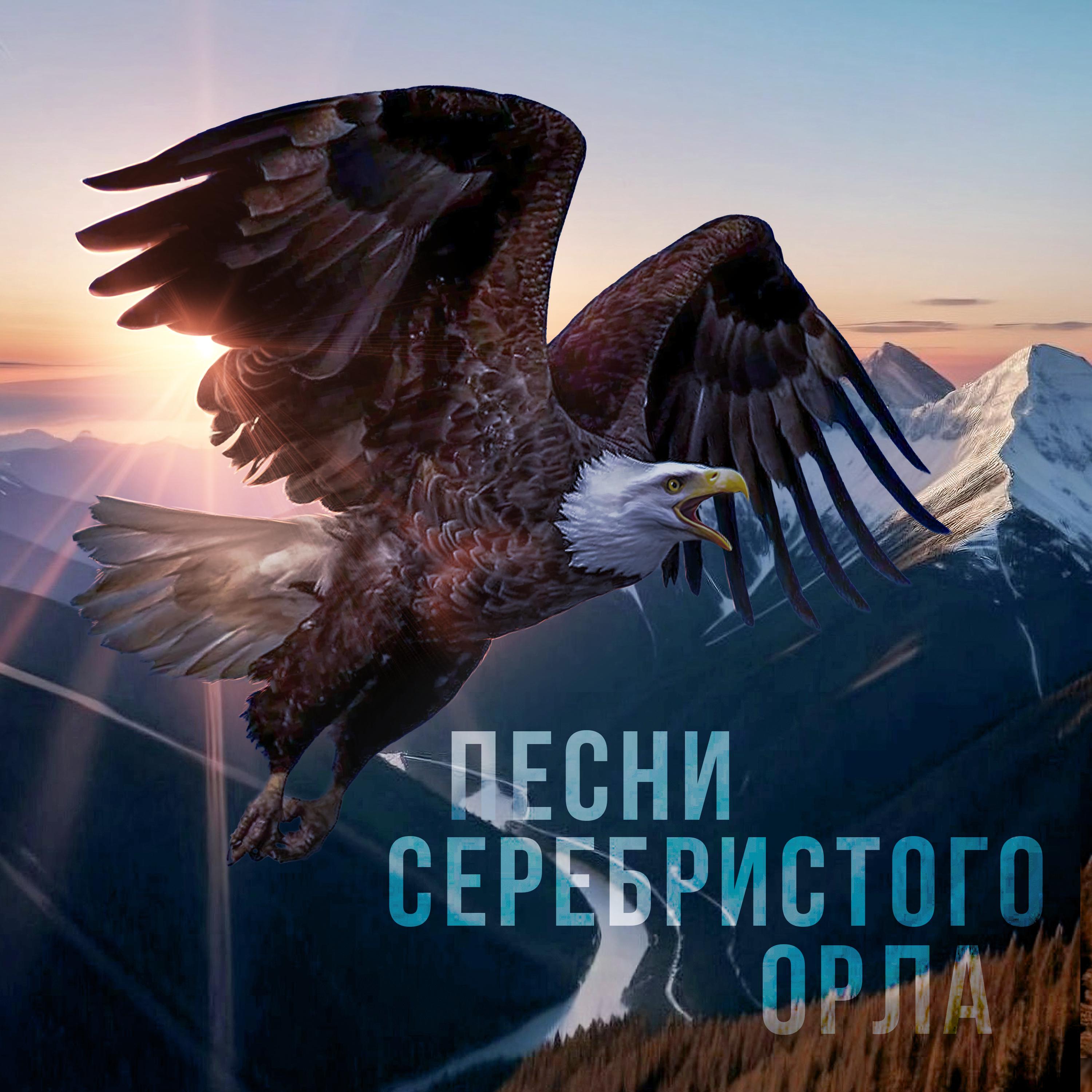 Постер альбома Кармаскалинский ДК - Песни серебристого орла