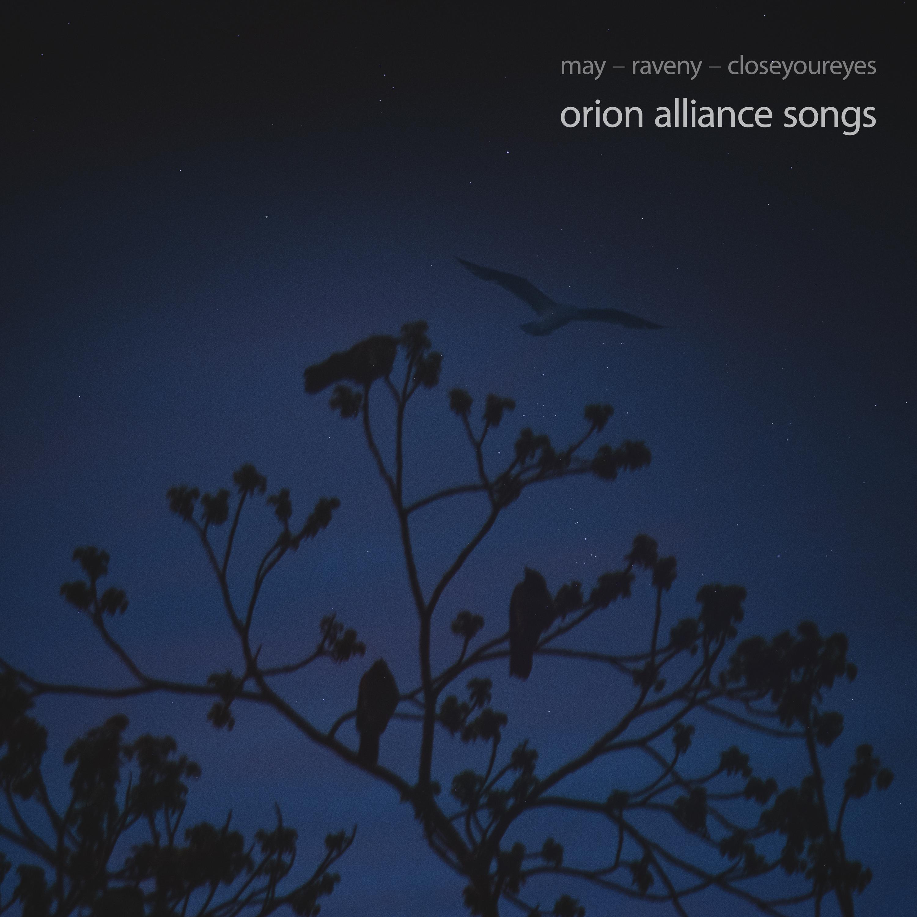 Постер альбома Orion Alliance Songs