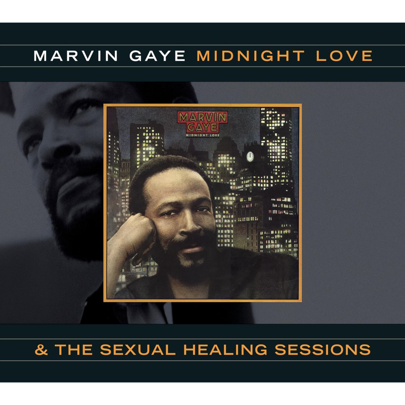 Marvin Gaye - Sexual Healing (Original Vocal Version)