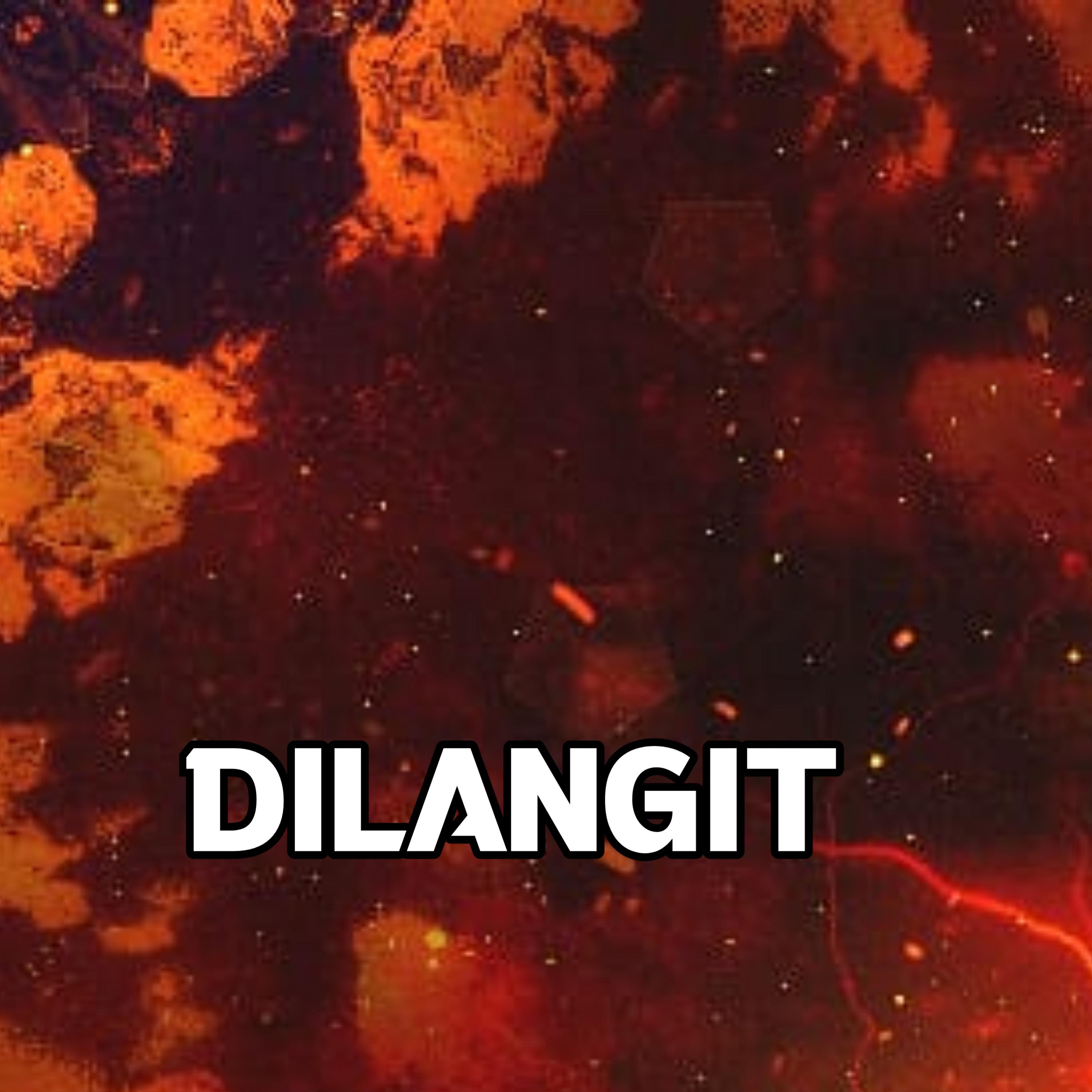 Постер альбома Dilangit