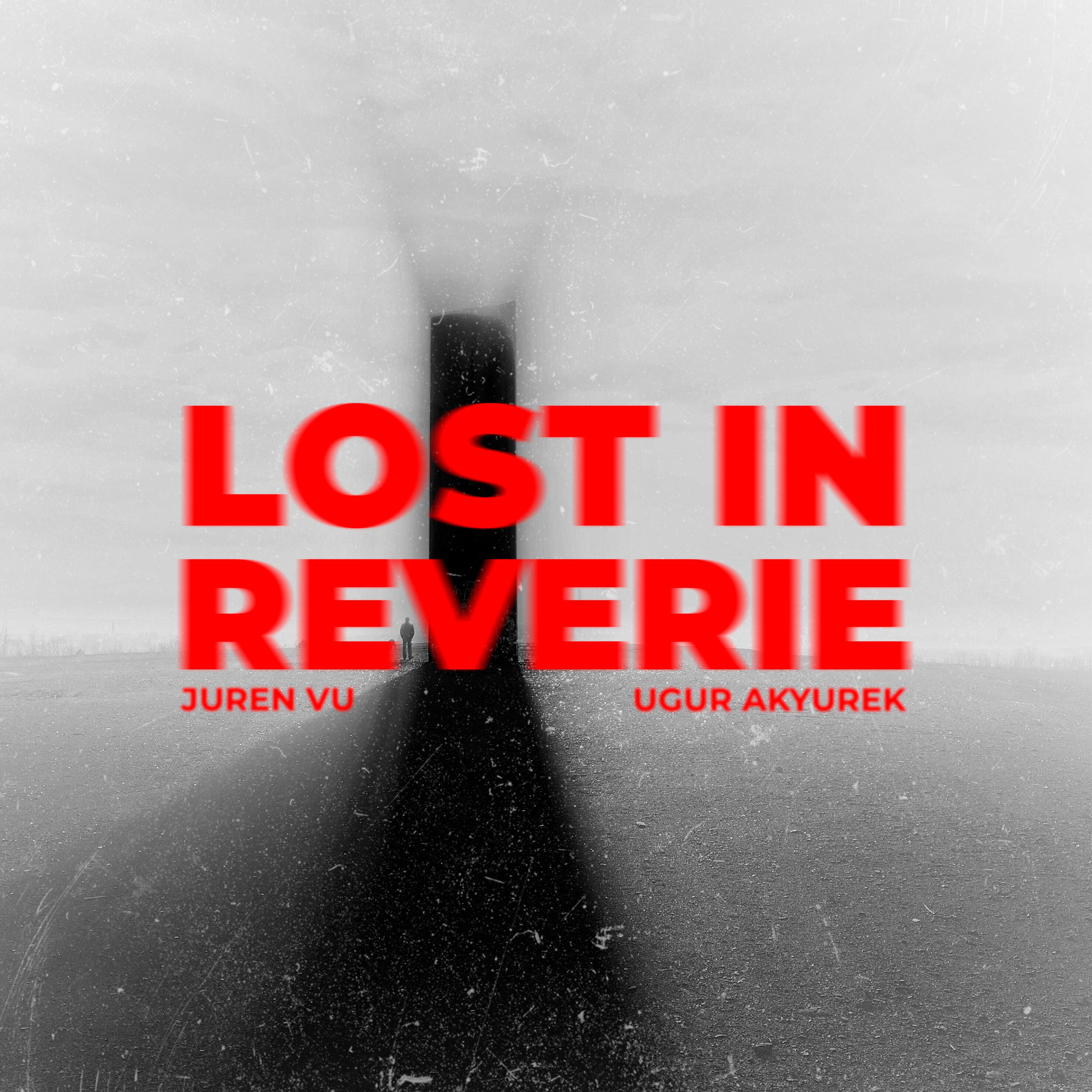 Постер альбома Lost in Reverie