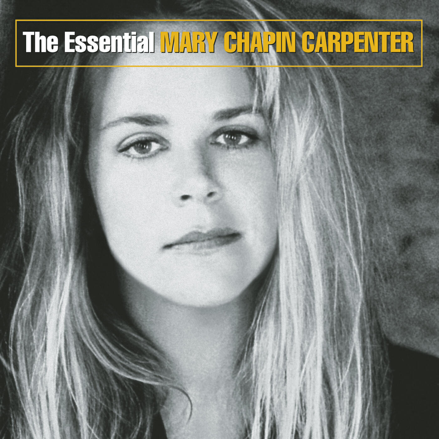 Mary Chapin Carpenter - Down at the Twist and Shout