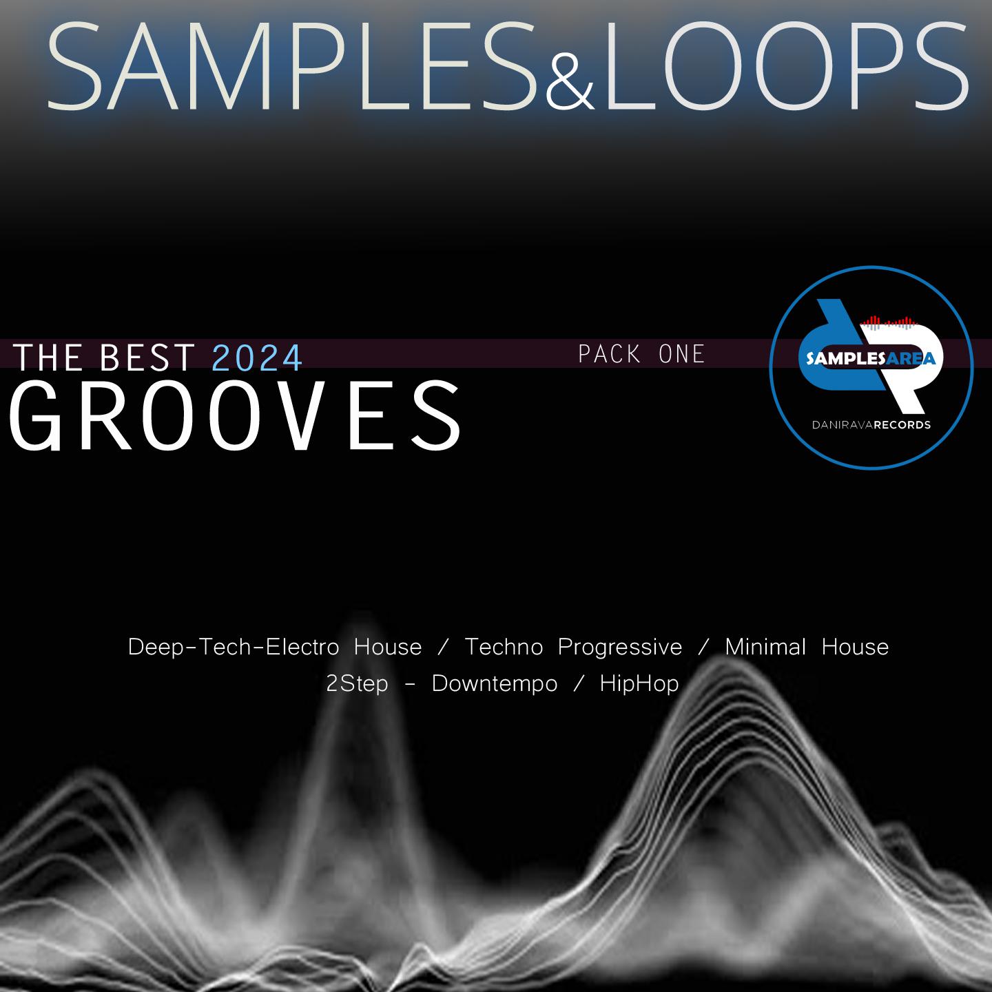 Постер альбома SAMPLES&LOOPS - The best 2024 GROOVES