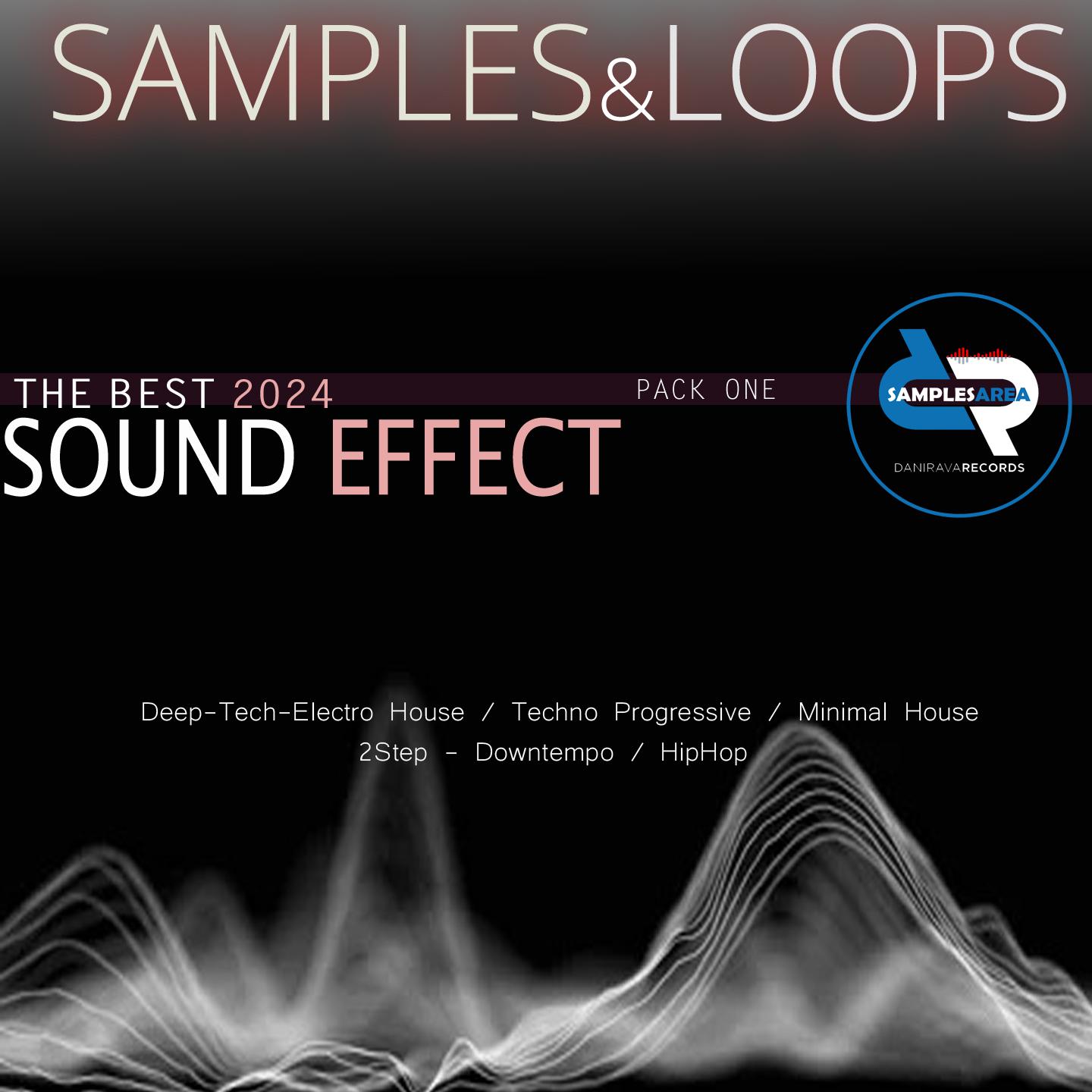 Постер альбома SAMPLES&LOOPS - The best 2024 SOUND EFFECT