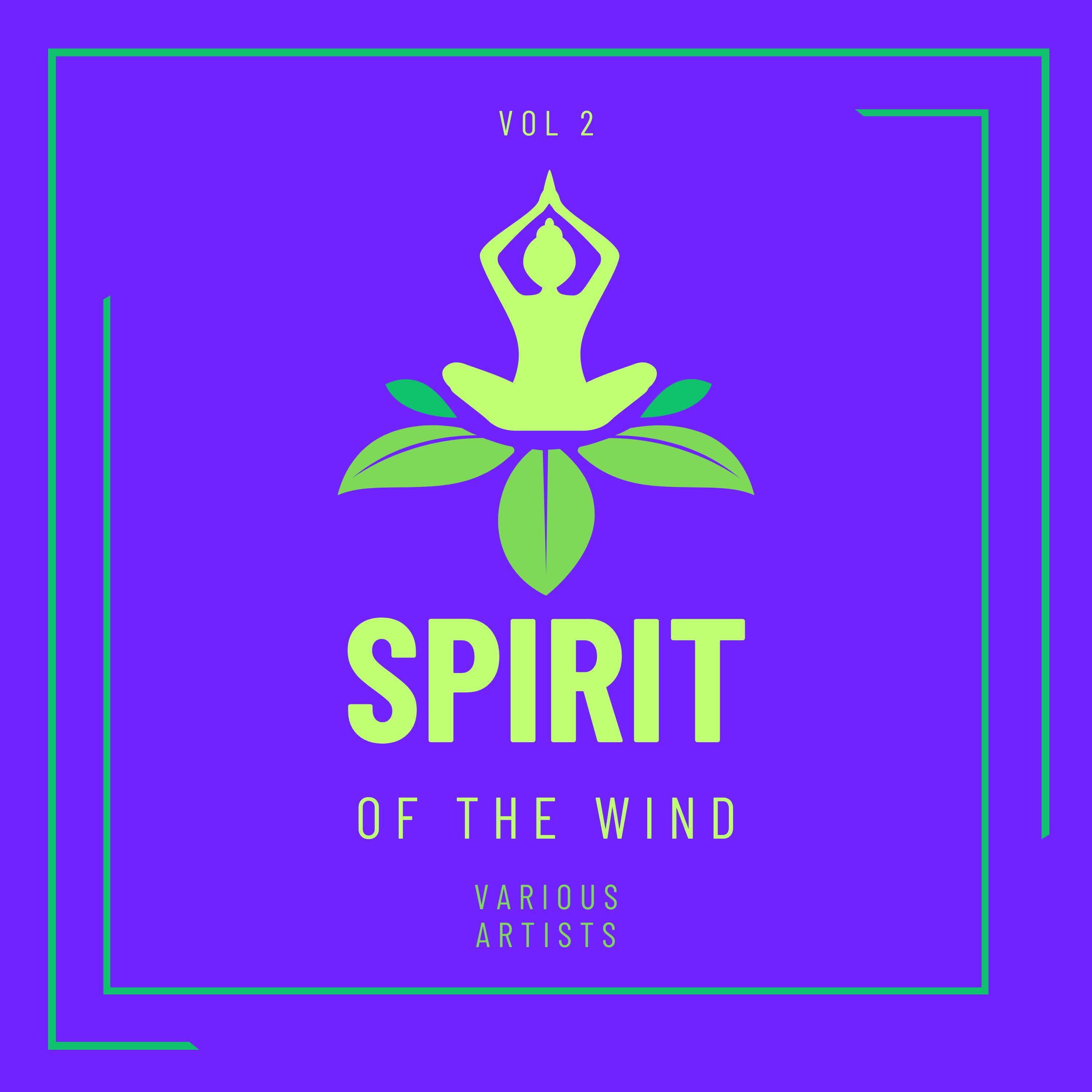 Постер альбома Spirit Of The Wind, Vol. 2