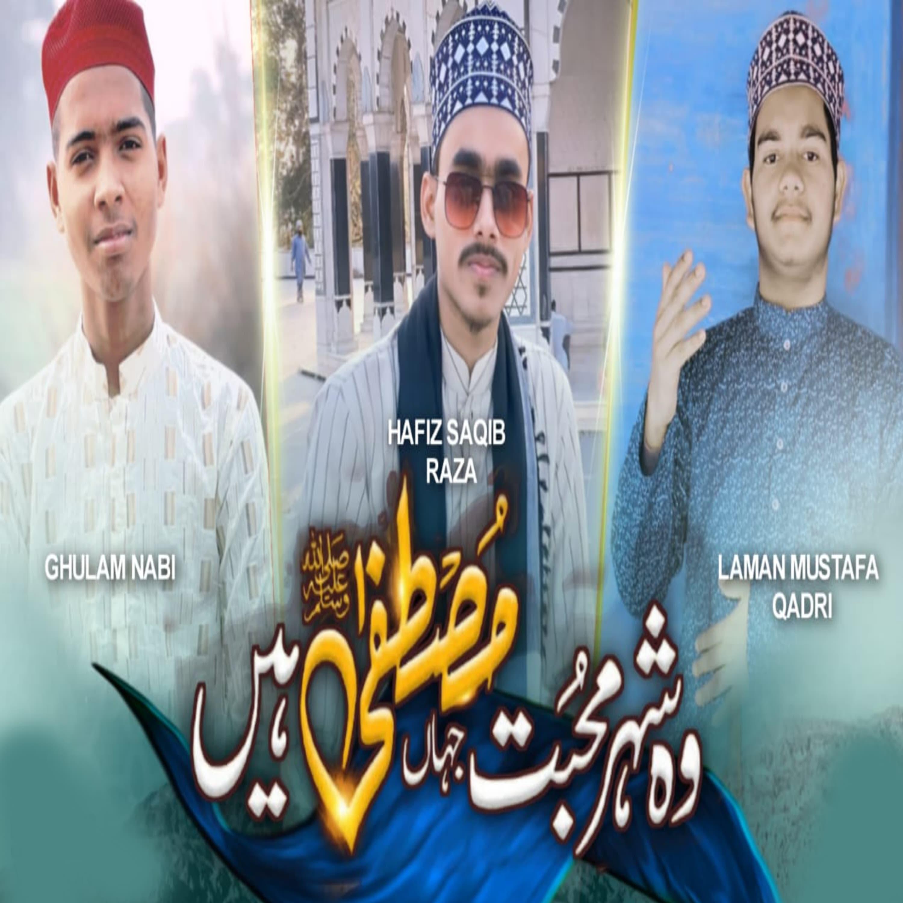 Постер альбома Wo Shehr e Muhabbat Jahan Mustafa Hai