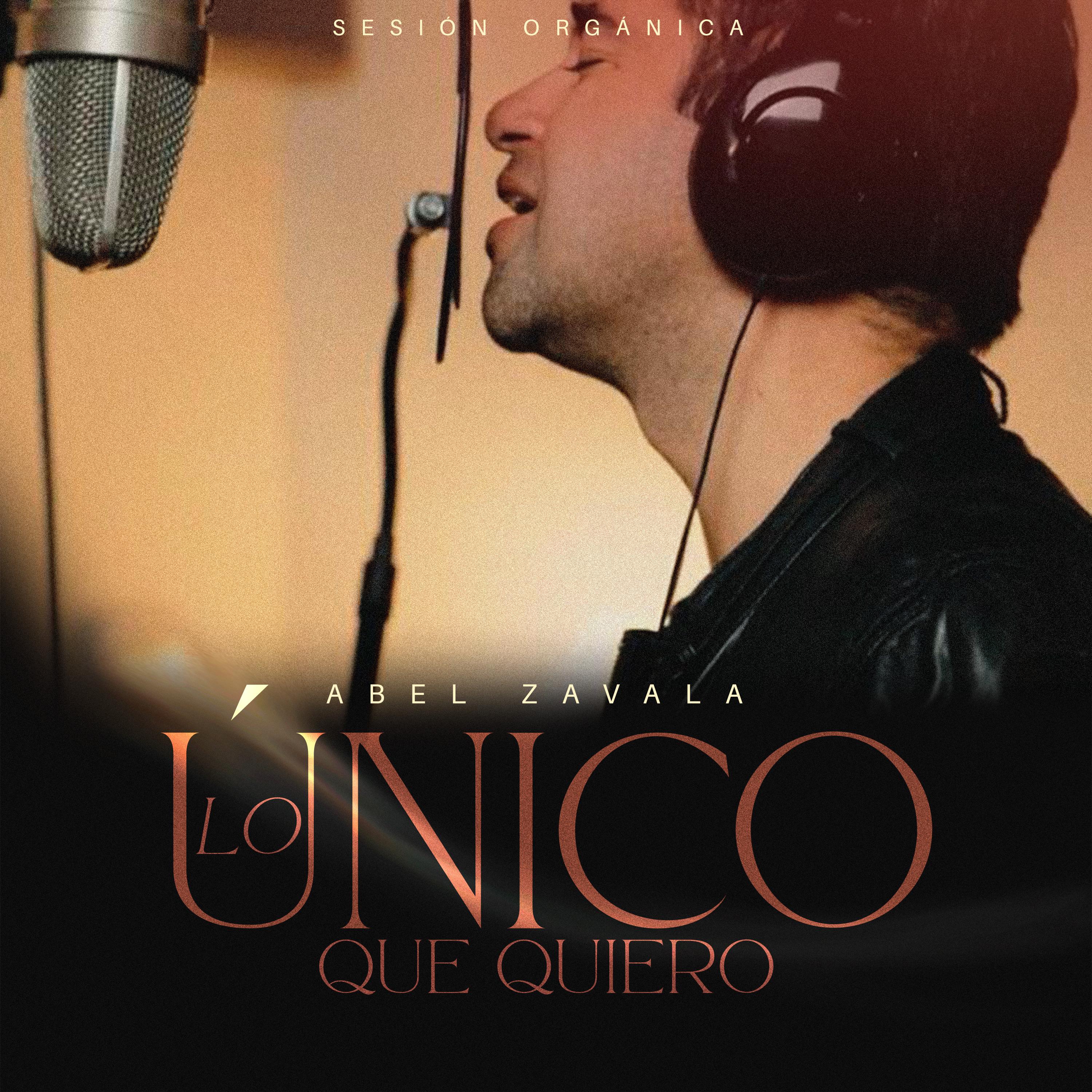 Постер альбома Lo Único Que Quiero