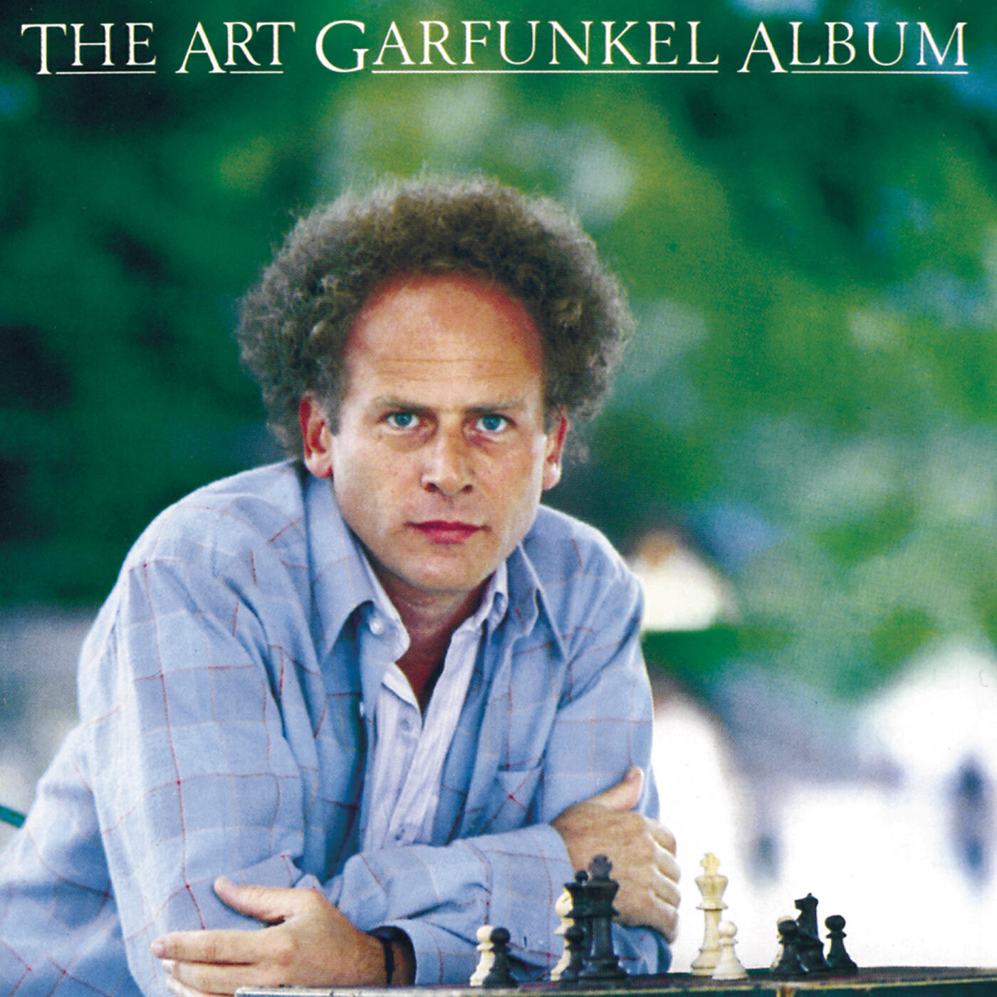 Art Garfunkel - Bright Eyes