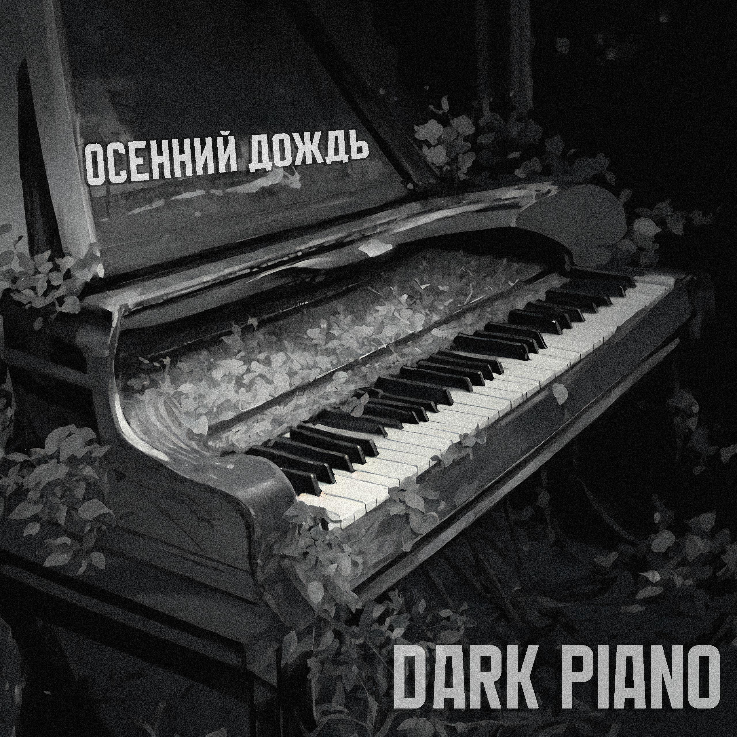Постер альбома Dark Piano