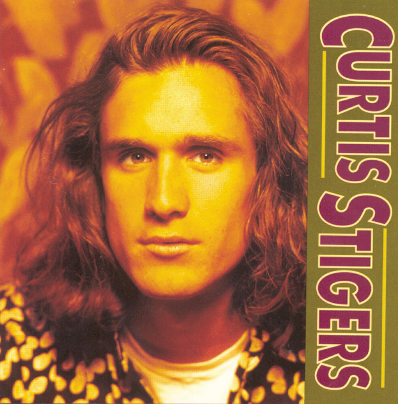 Curtis Stigers - I Keep Telling Myself