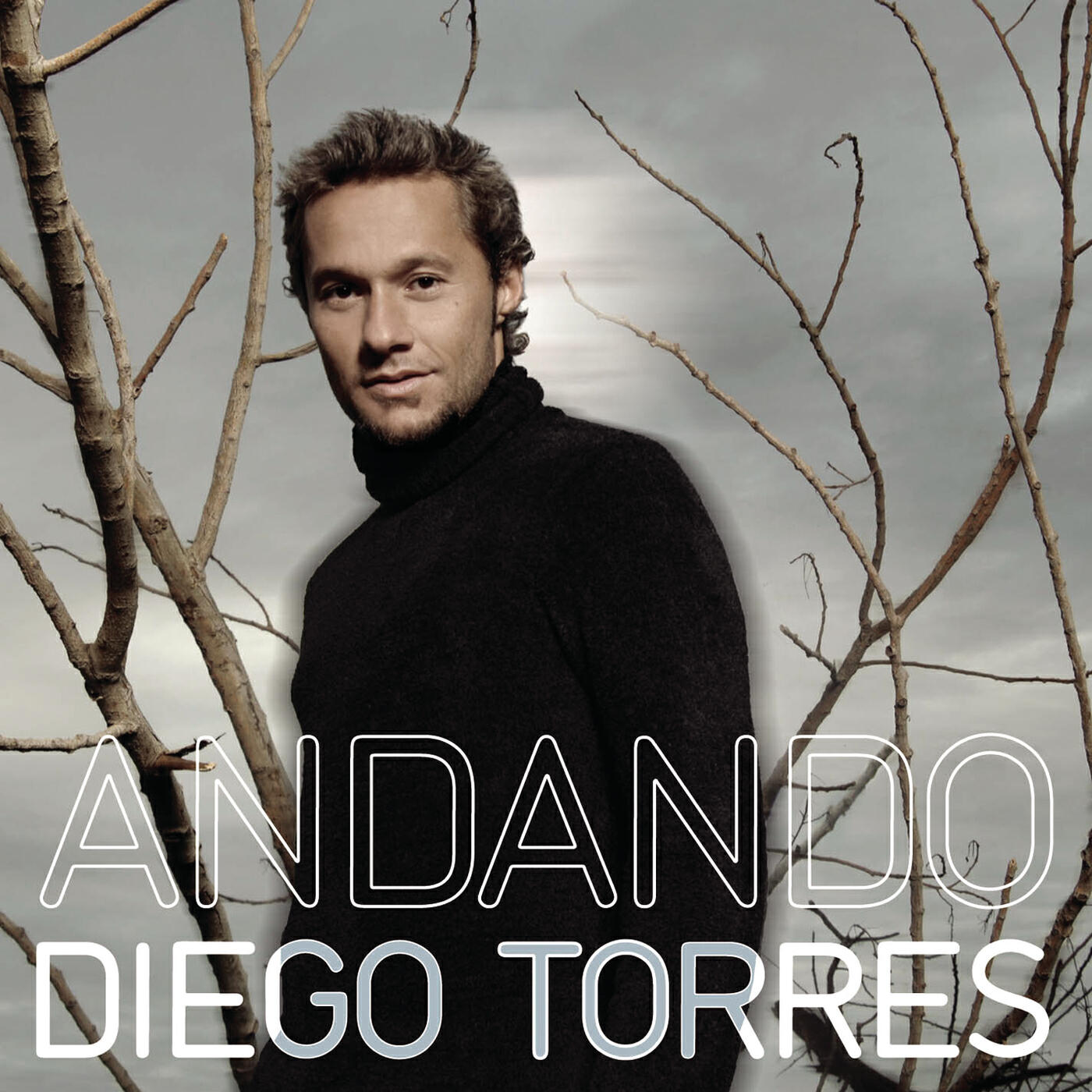 Diego Torres - A Veces