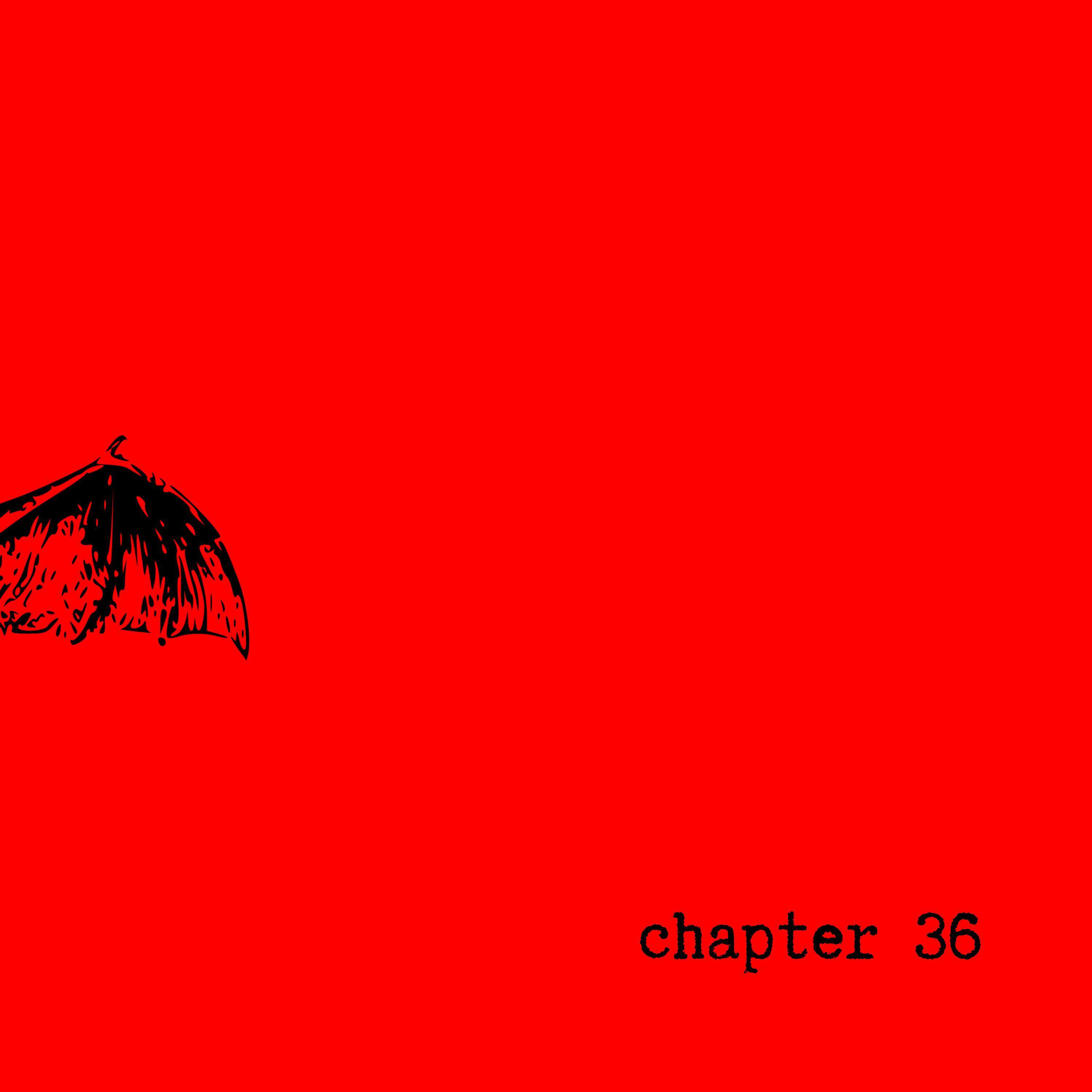 Постер альбома Chapter 36