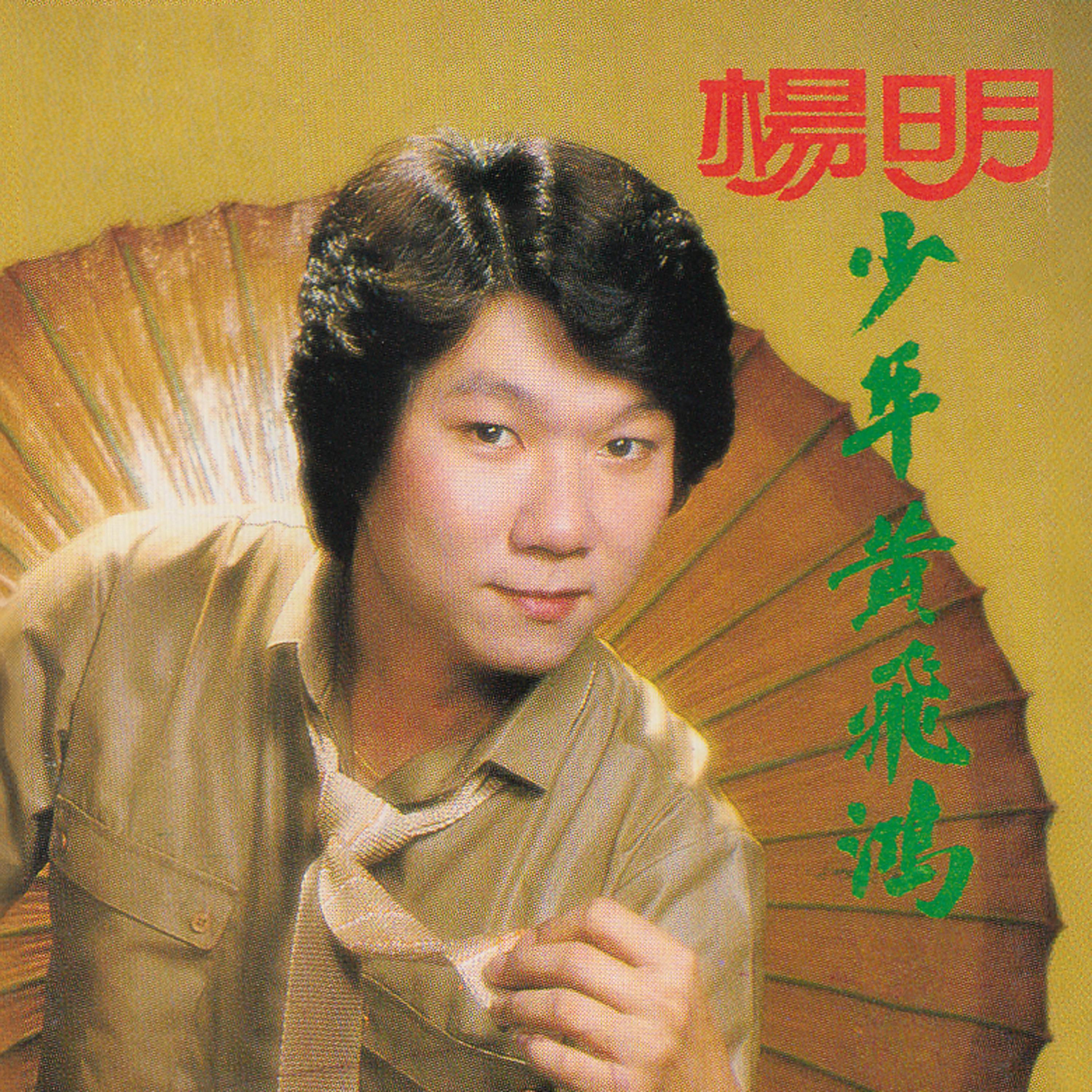 Постер альбома 少年黃飛鴻