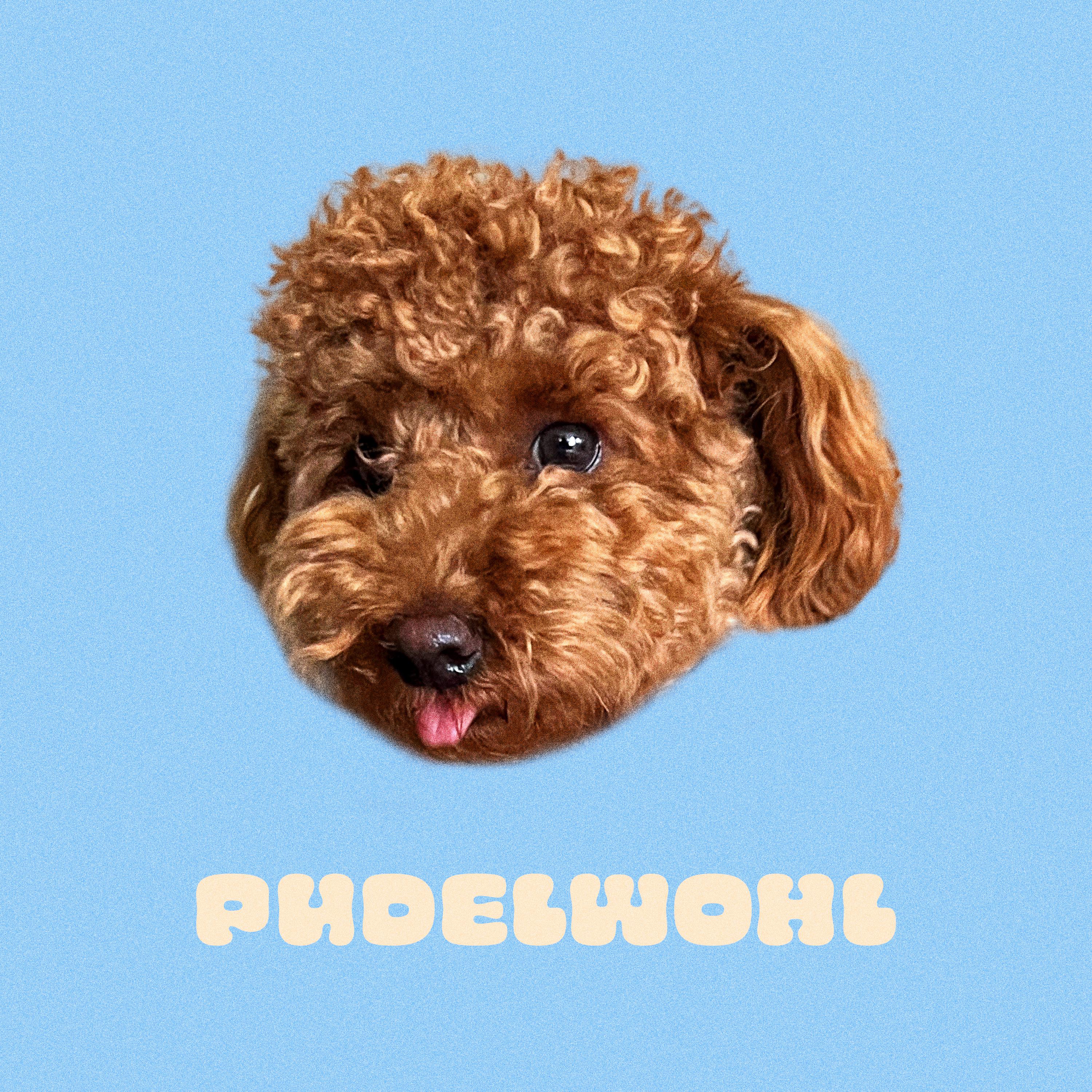 Постер альбома Pudelwohl