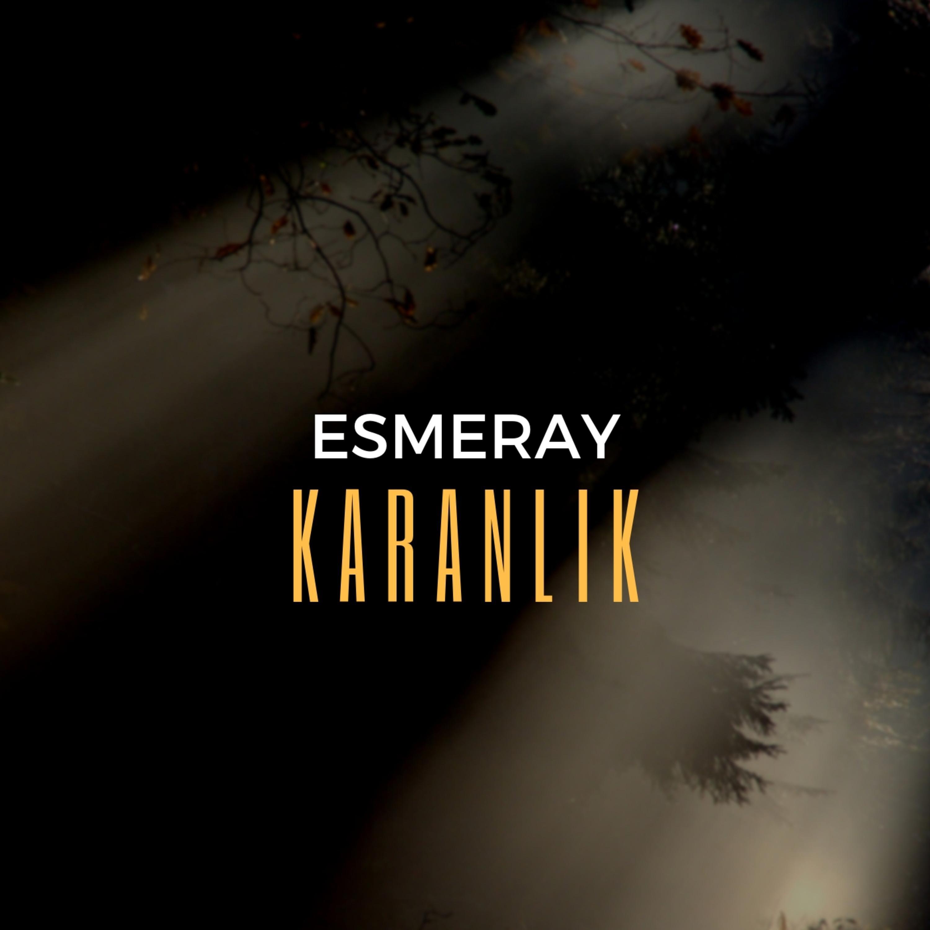 Постер альбома Karanlık