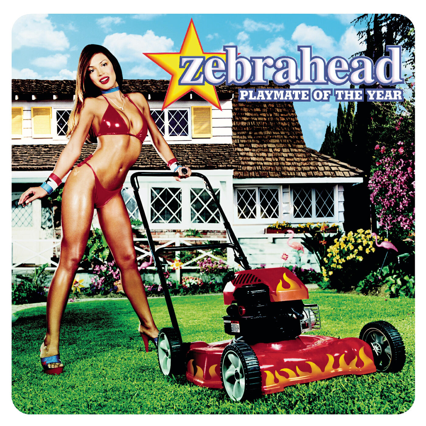 Zebrahead - The Hell That Is My Life