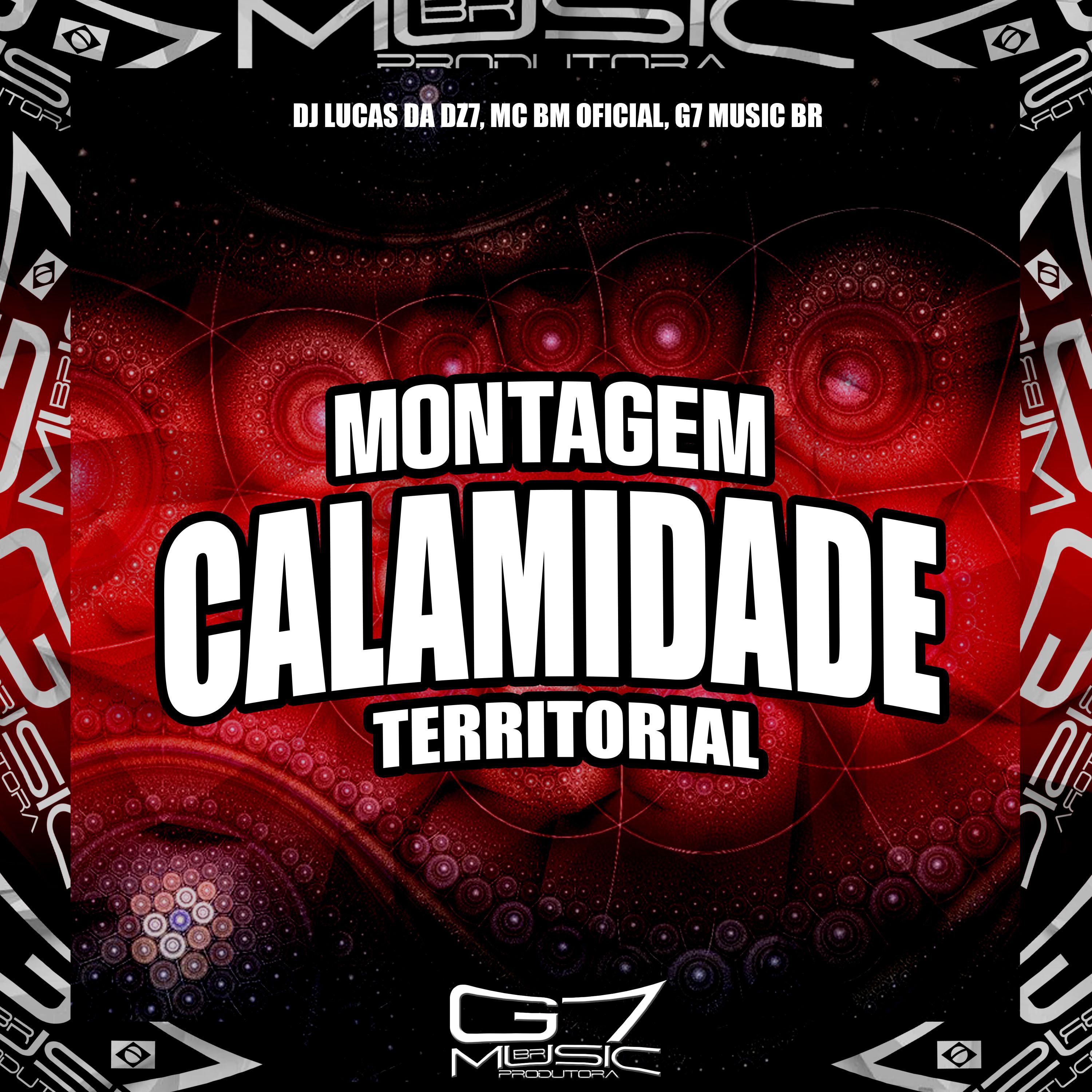 Постер альбома Montagem Calamidade Territorial
