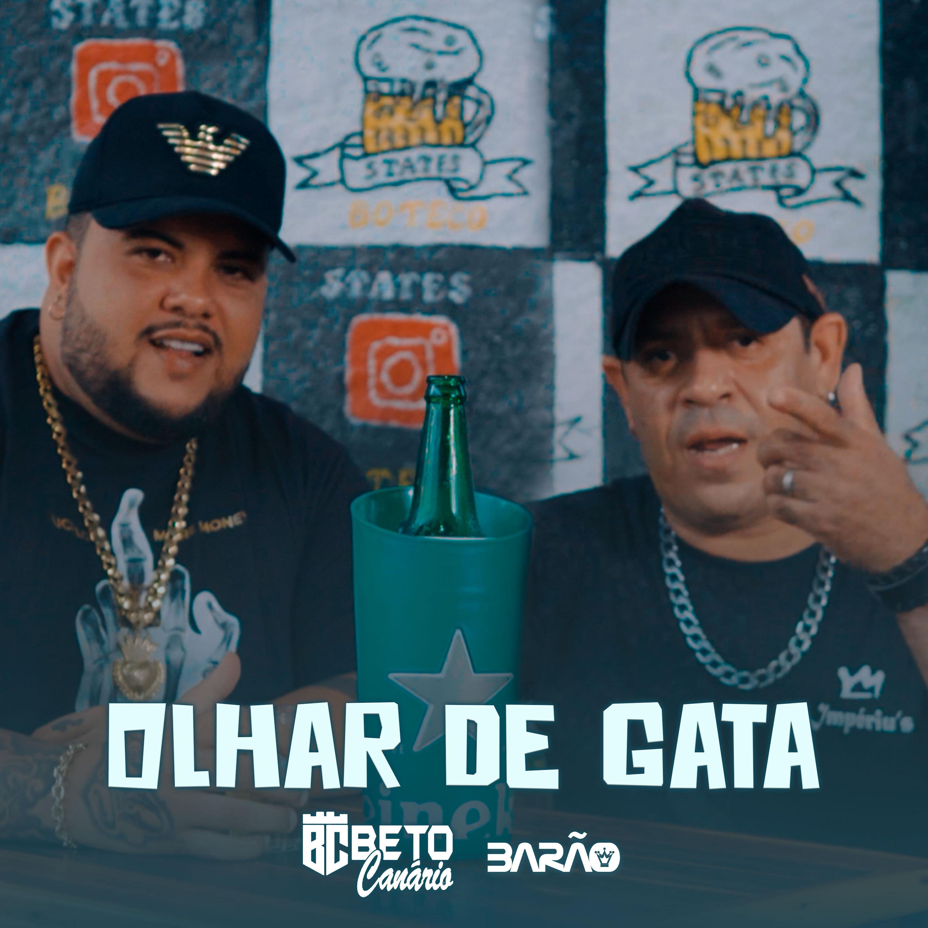Постер альбома Olhar de Gata