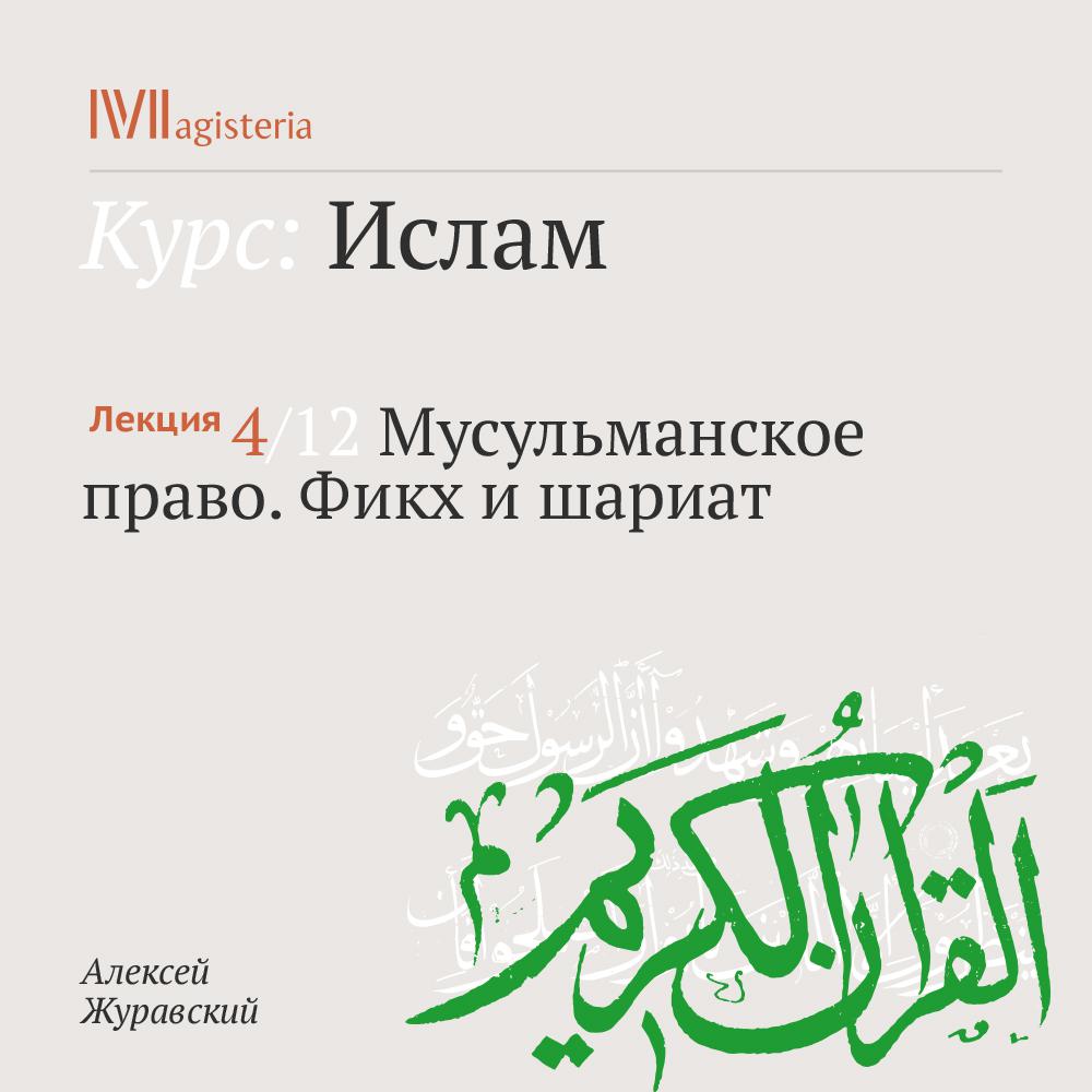 Постер альбома "Мусульманское право. Фикх и шариат"