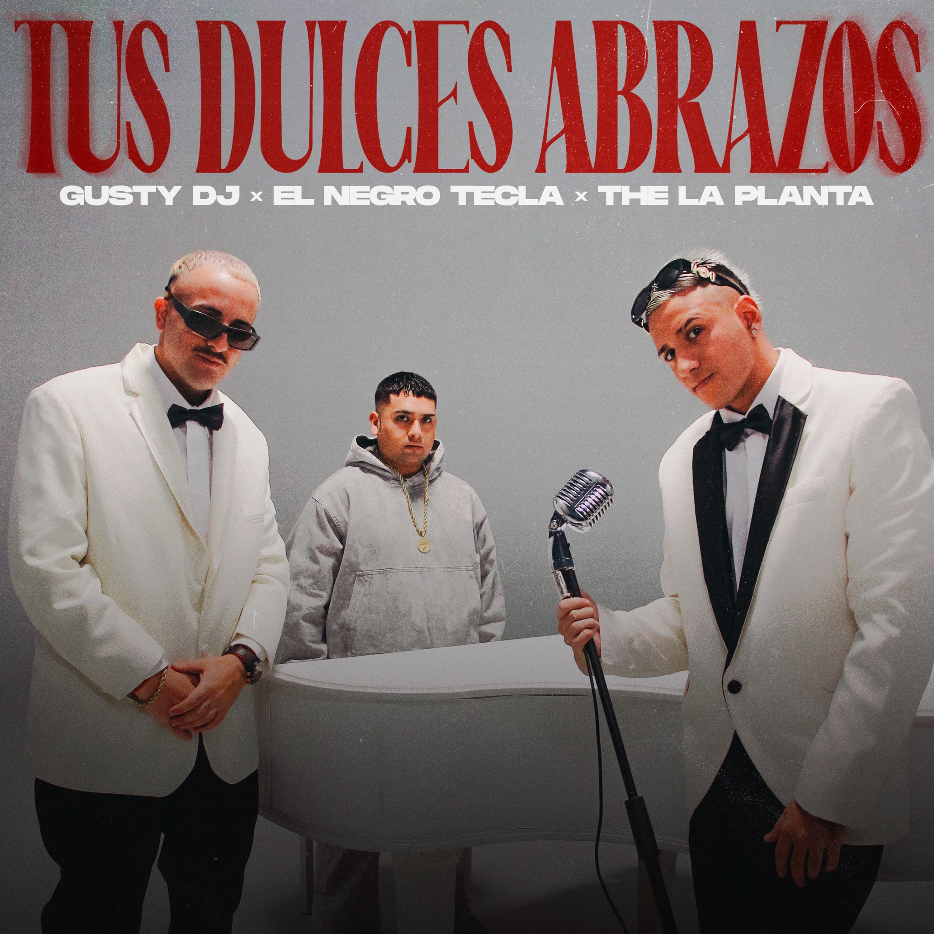 Постер альбома Tus Dulces Abrazos