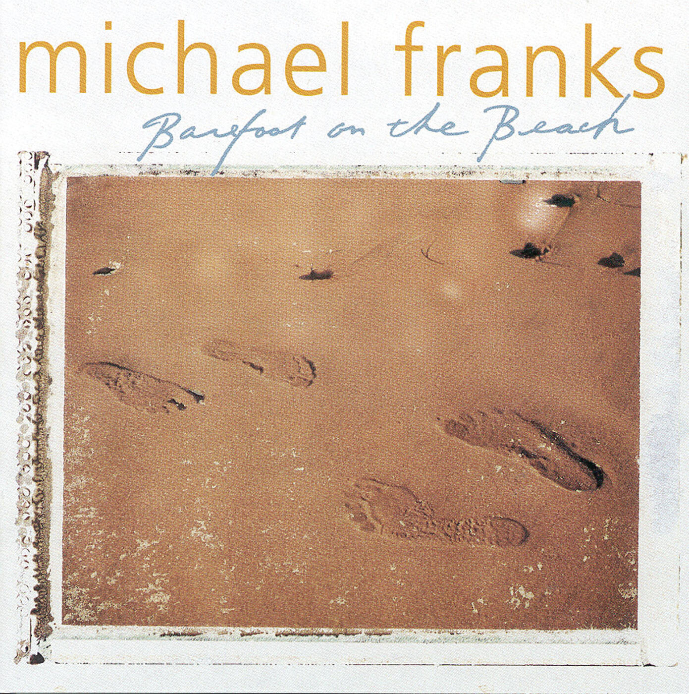 MICHAEL FRANKS - A Walk In The Rain