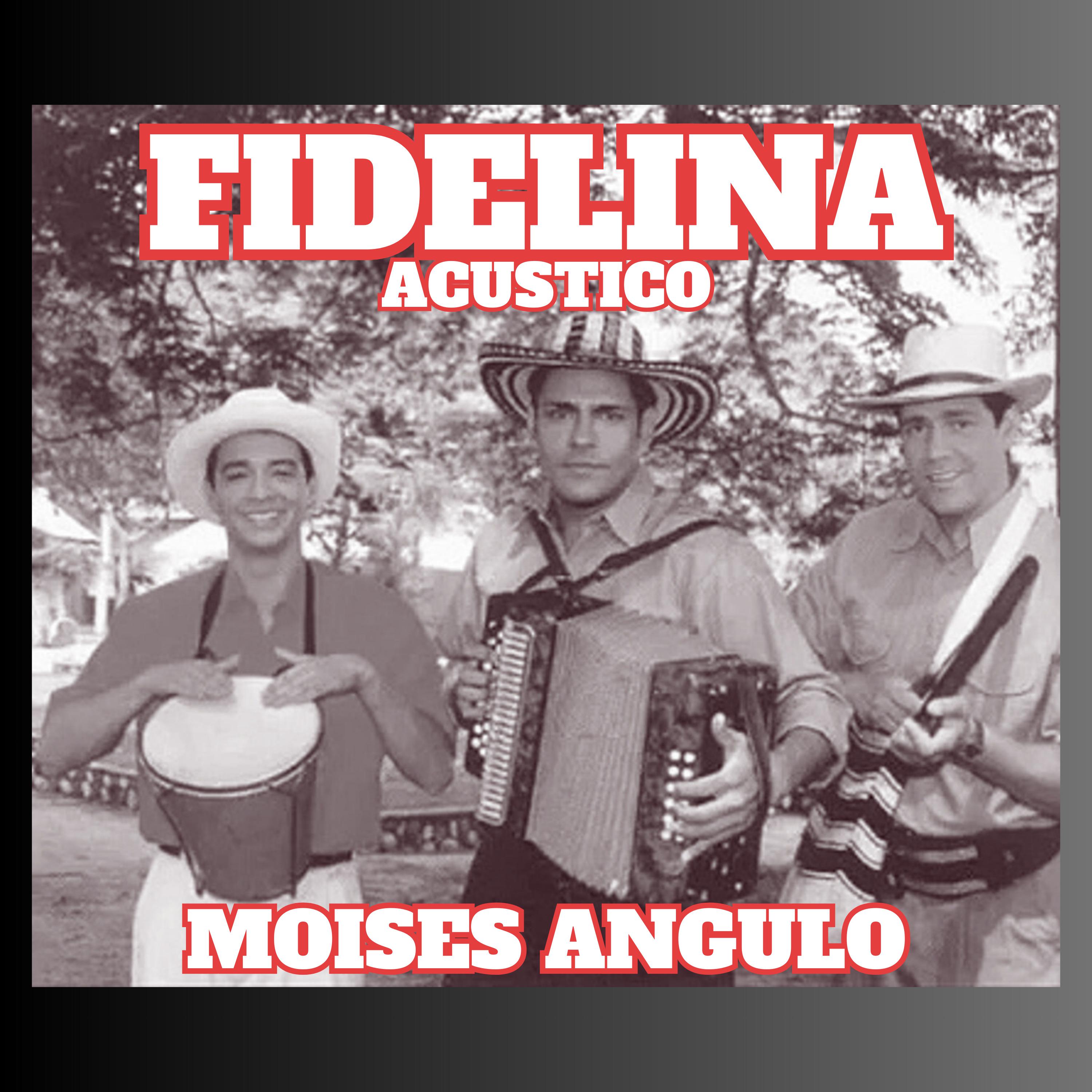 Постер альбома Fidelina Acustico