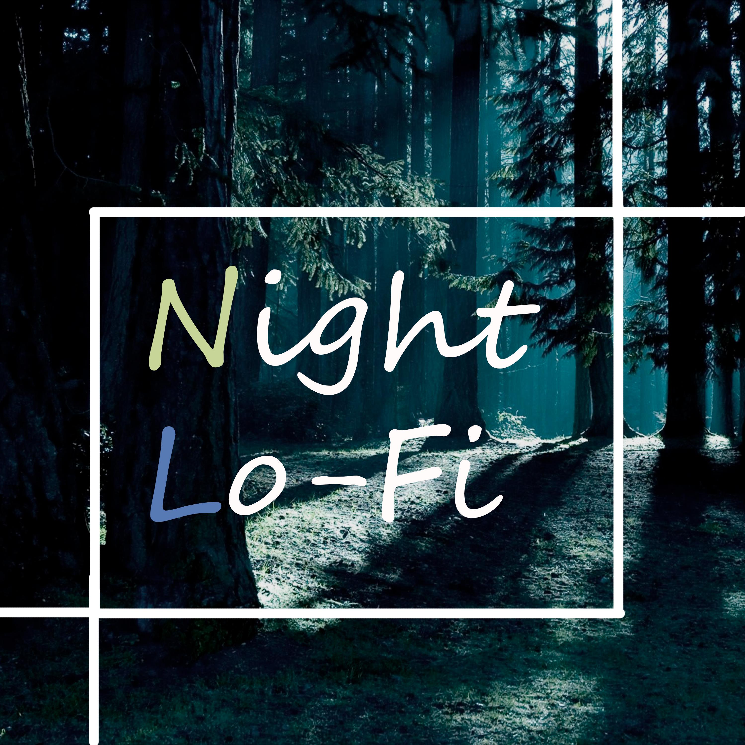 Постер альбома Night Lo-fi