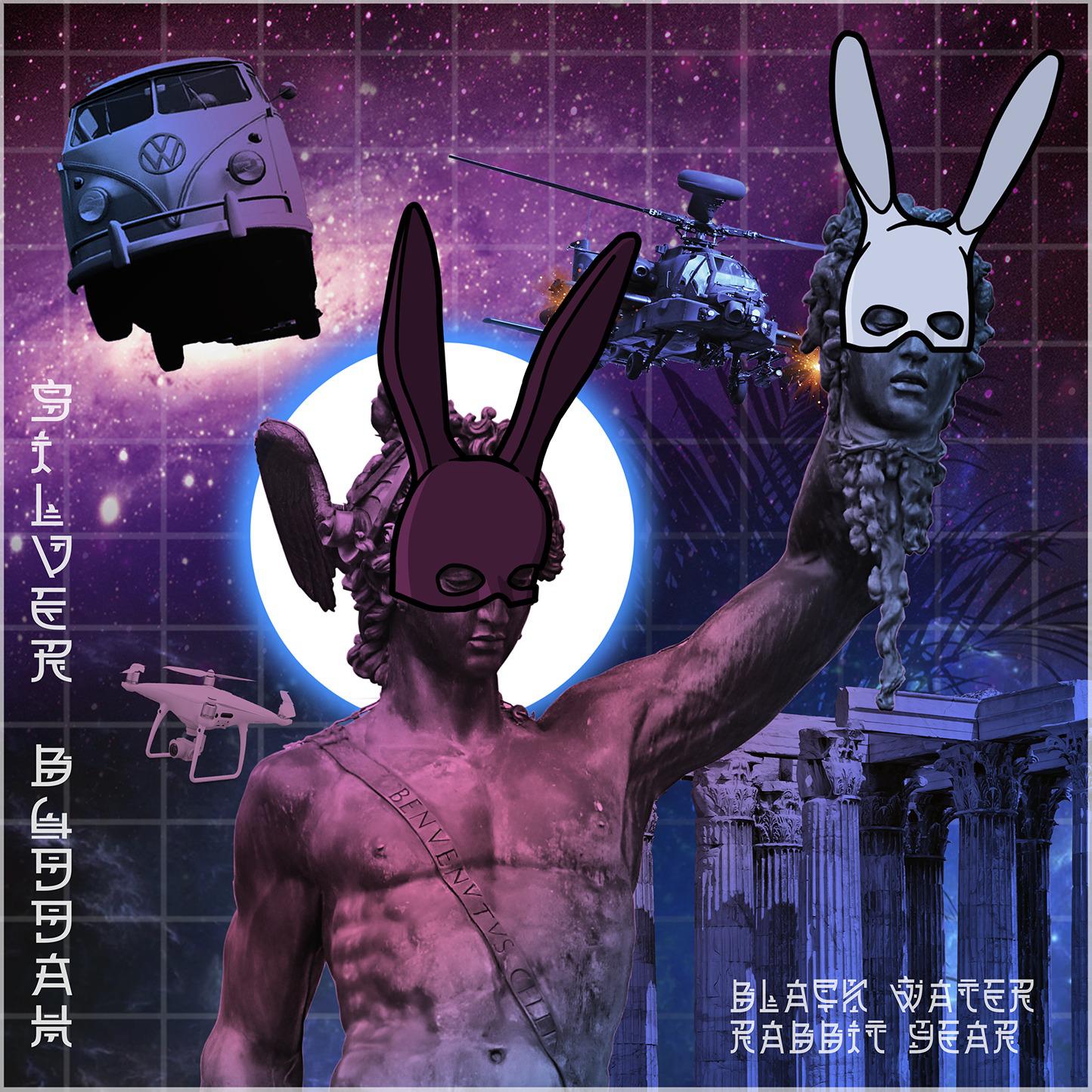 Постер альбома Black Water Rabbit Year