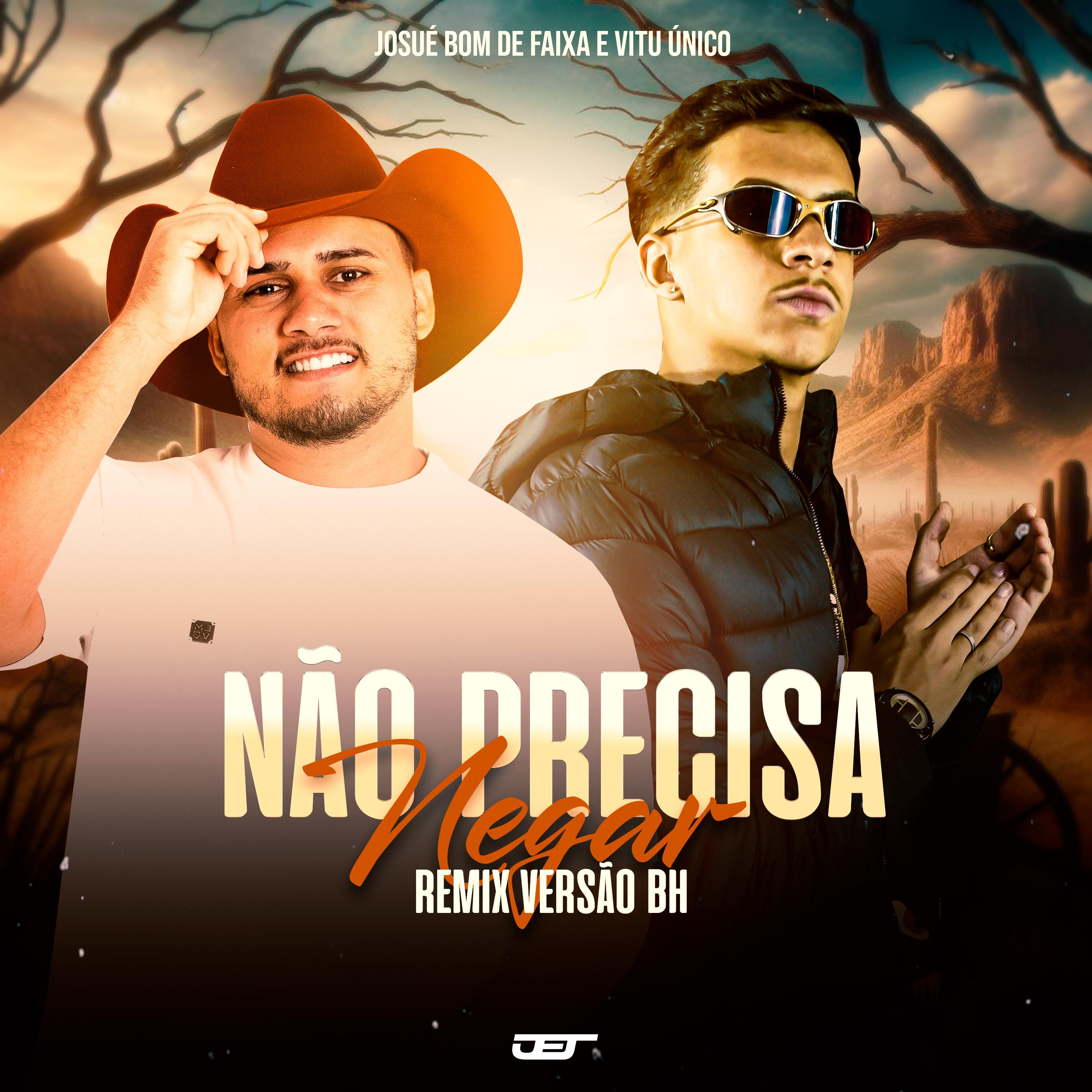 Постер альбома Nao Precisa Negar (Versao Bh)