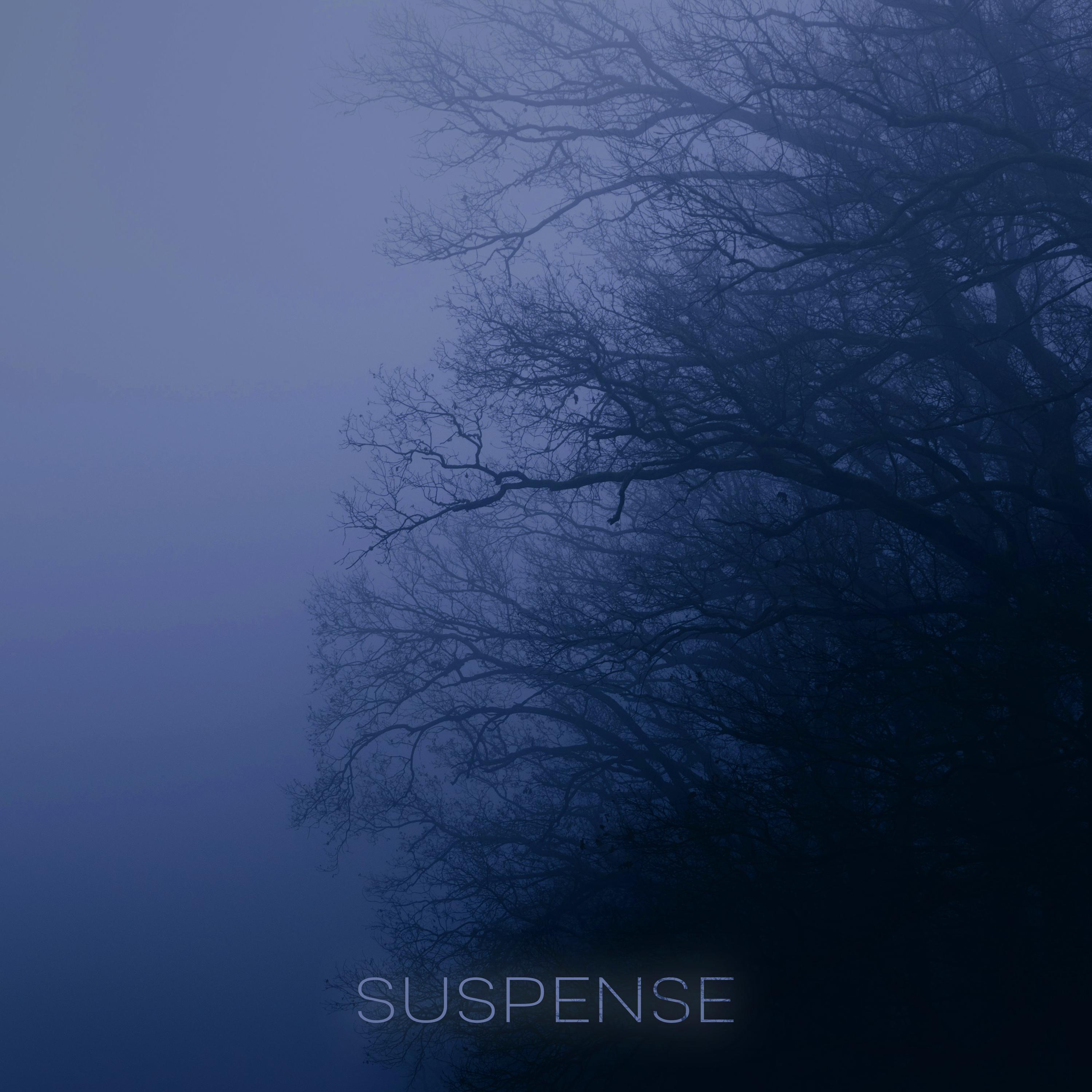 Постер альбома Suspense