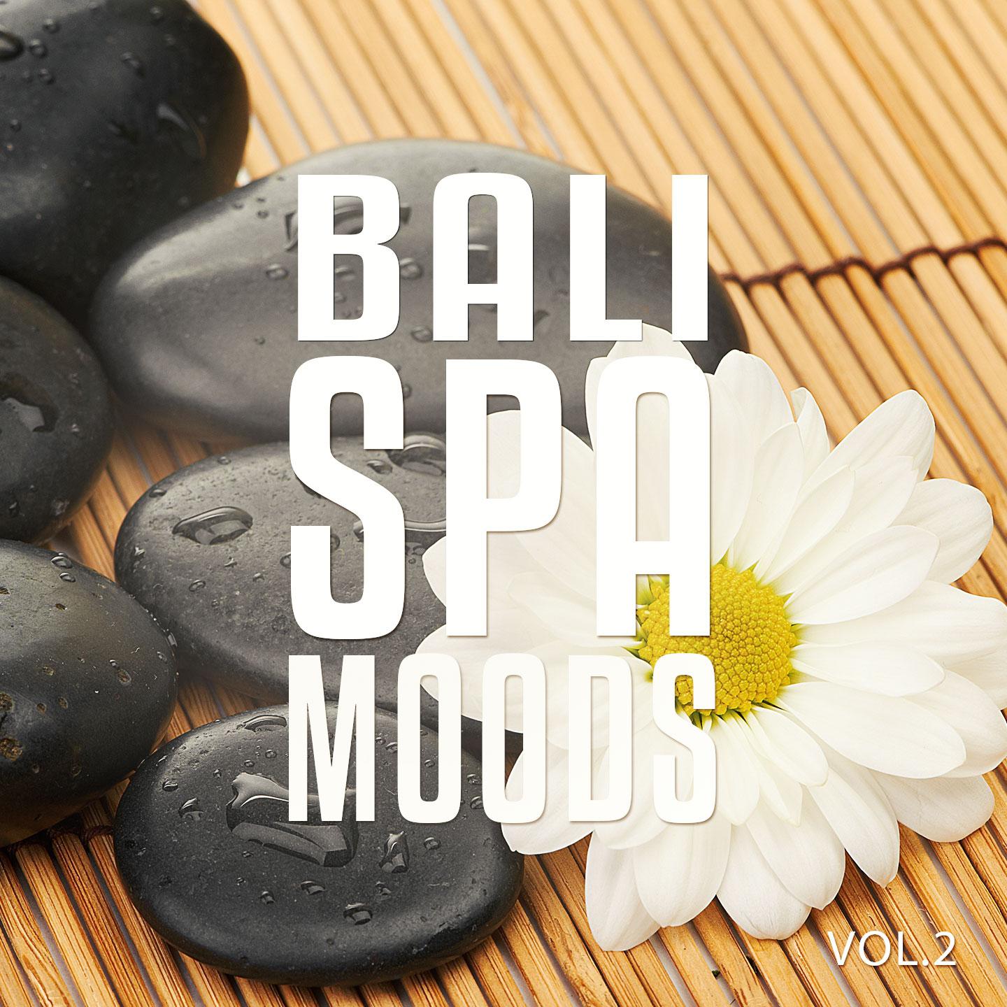 Постер альбома Bali Spa Moods, Vol. 2