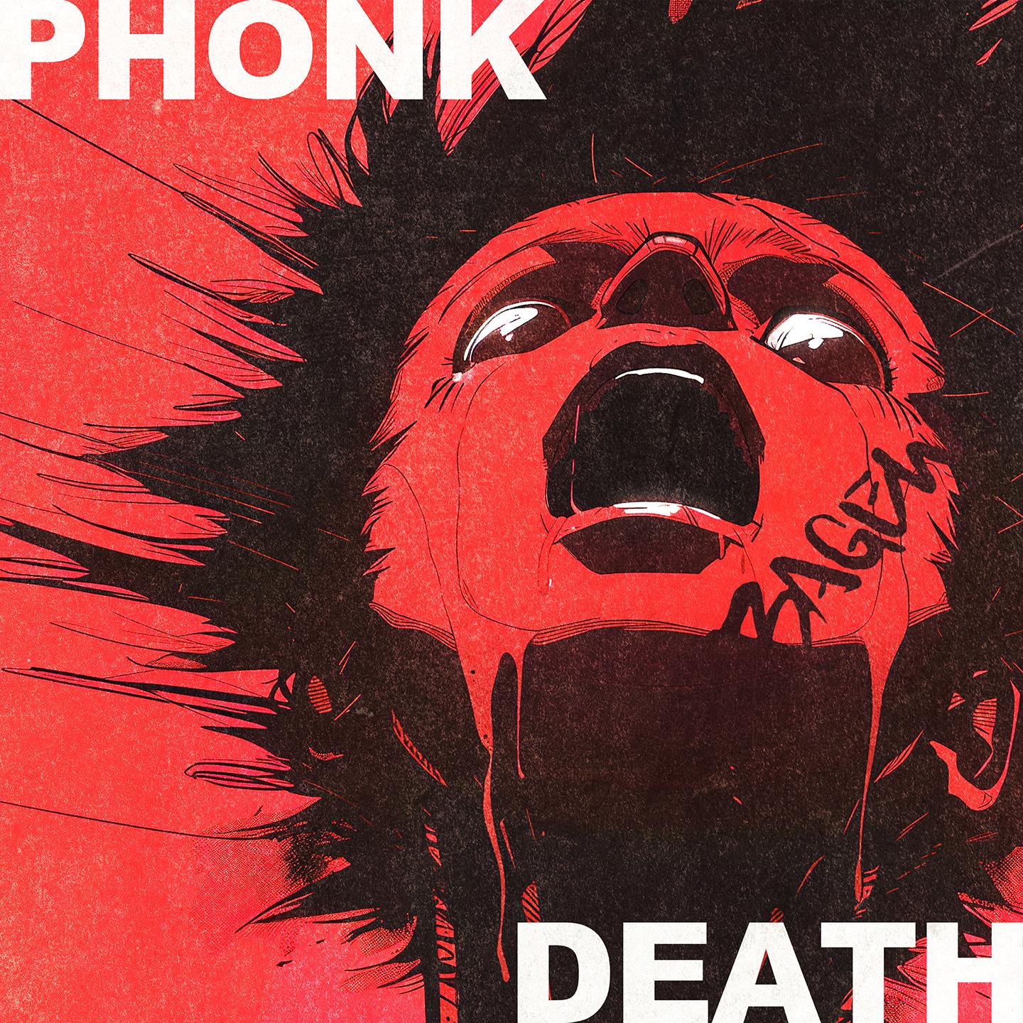 Постер альбома PHONK OR DEATH
