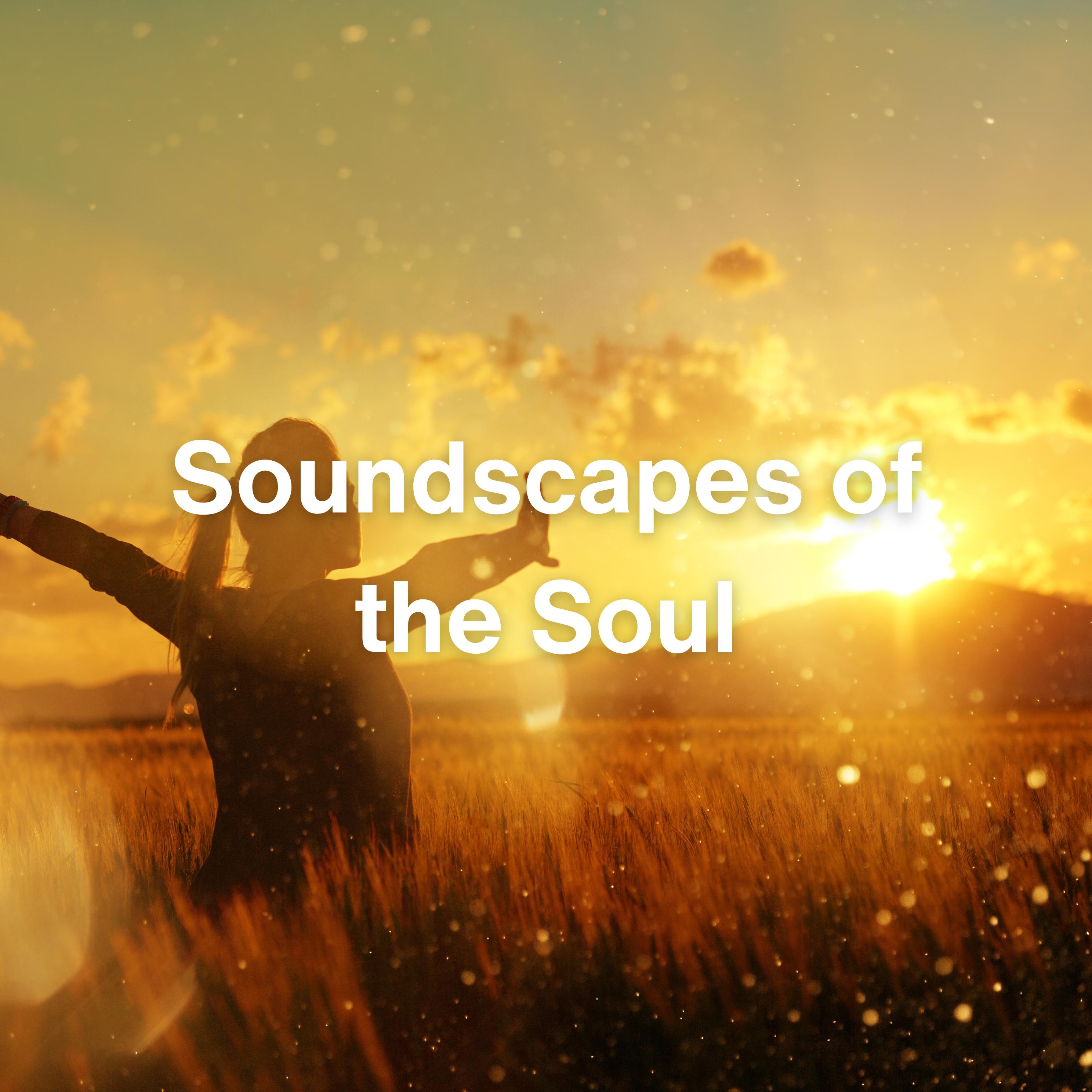Постер альбома Soundscapes of the Soul