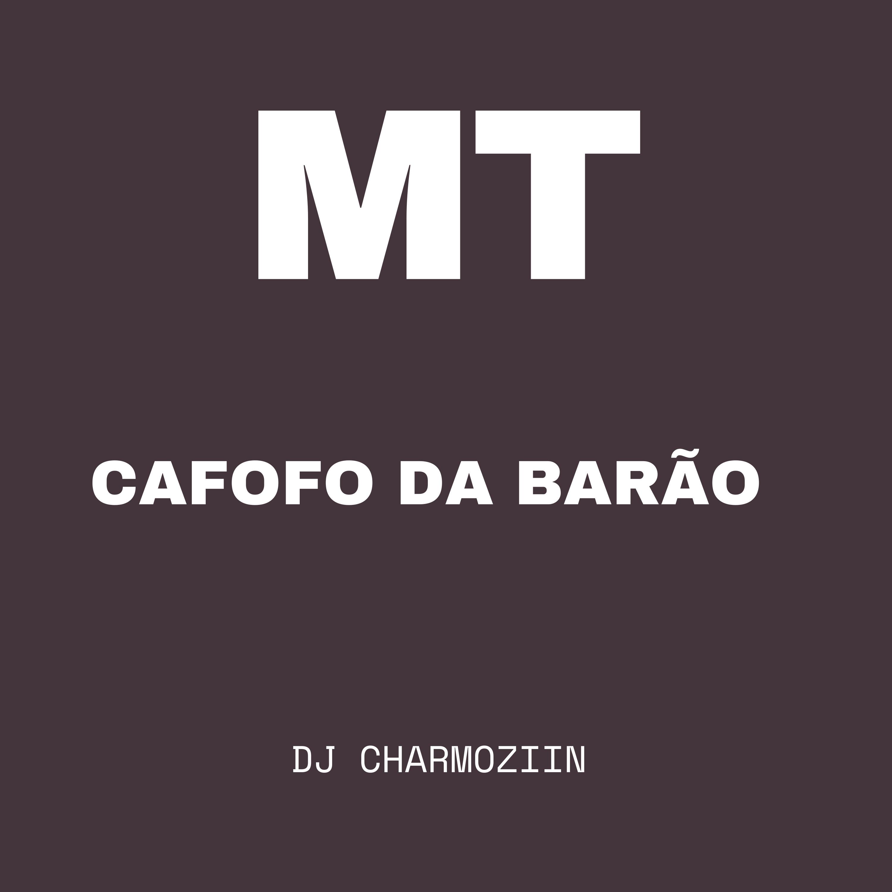 Постер альбома Mt - Cafofo da Barão