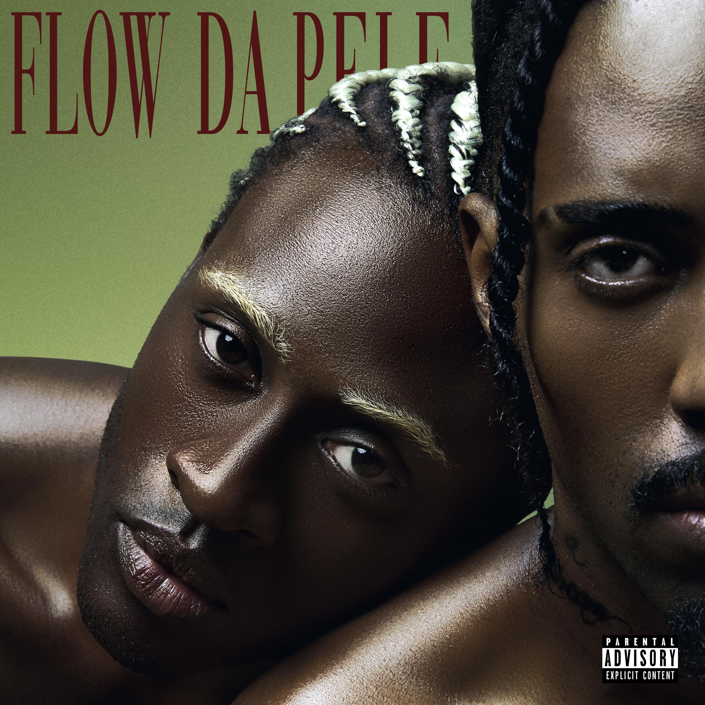 Постер альбома Flow da Pele