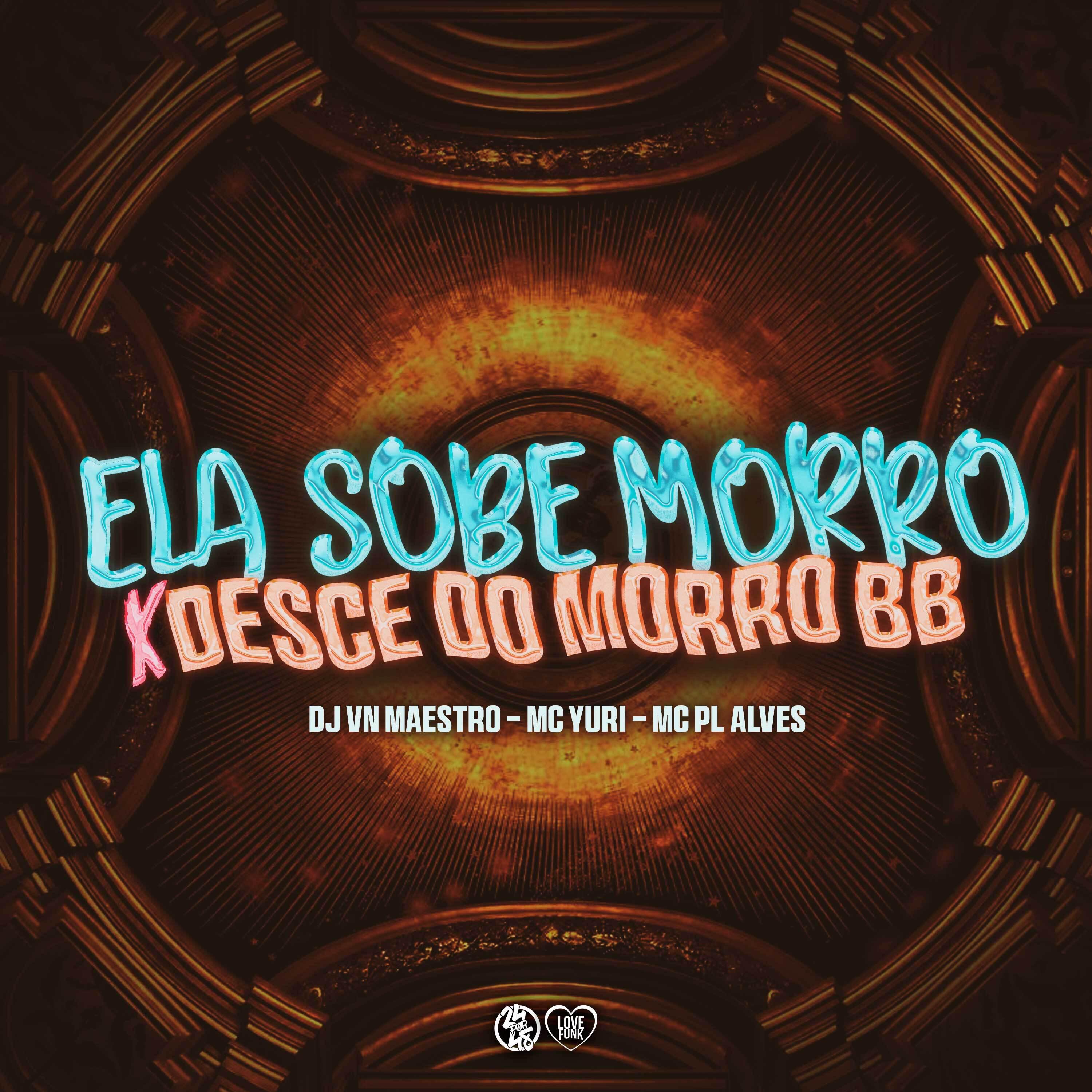 Постер альбома Ela Sobe Morro X Desce do Morro Bb