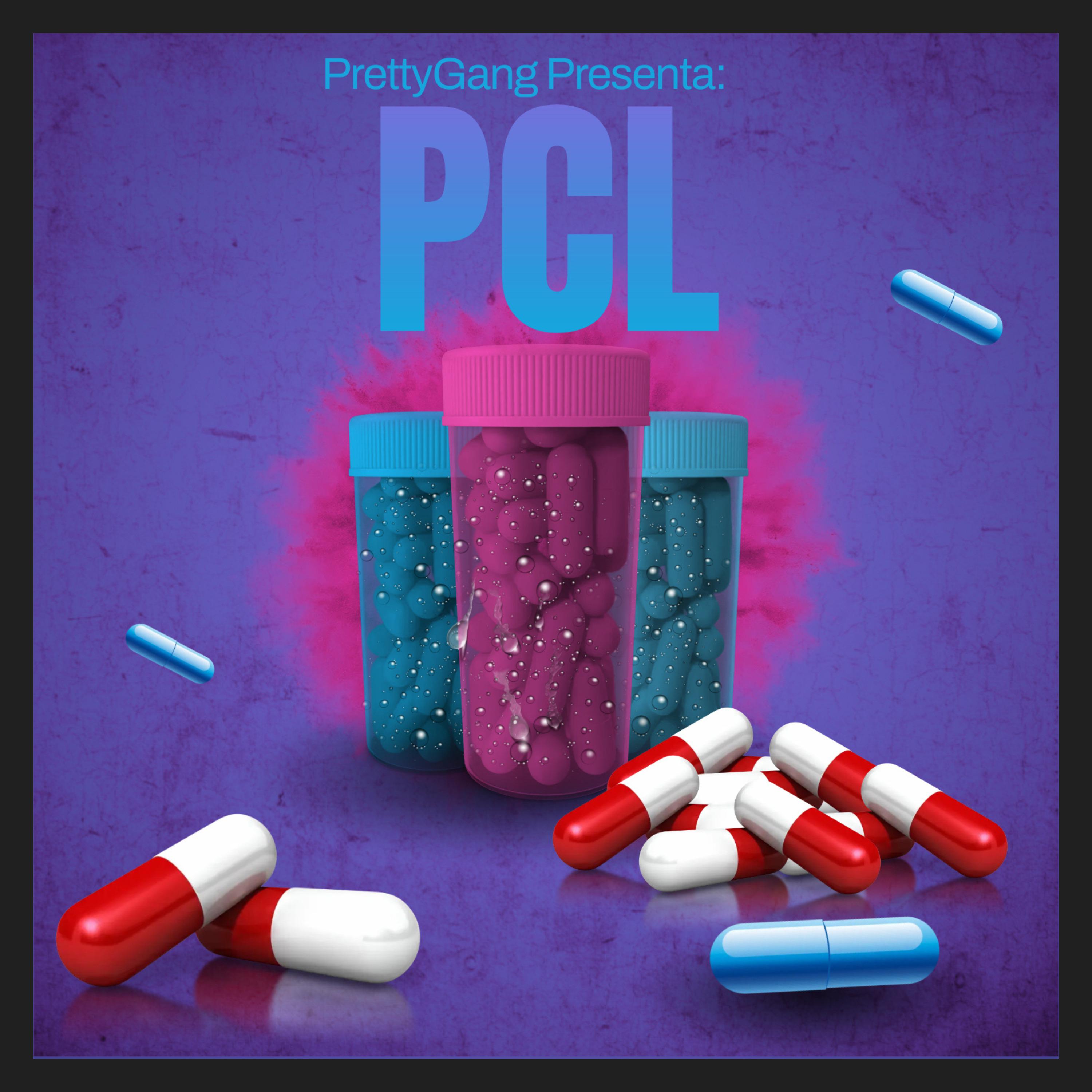 Постер альбома Pcl